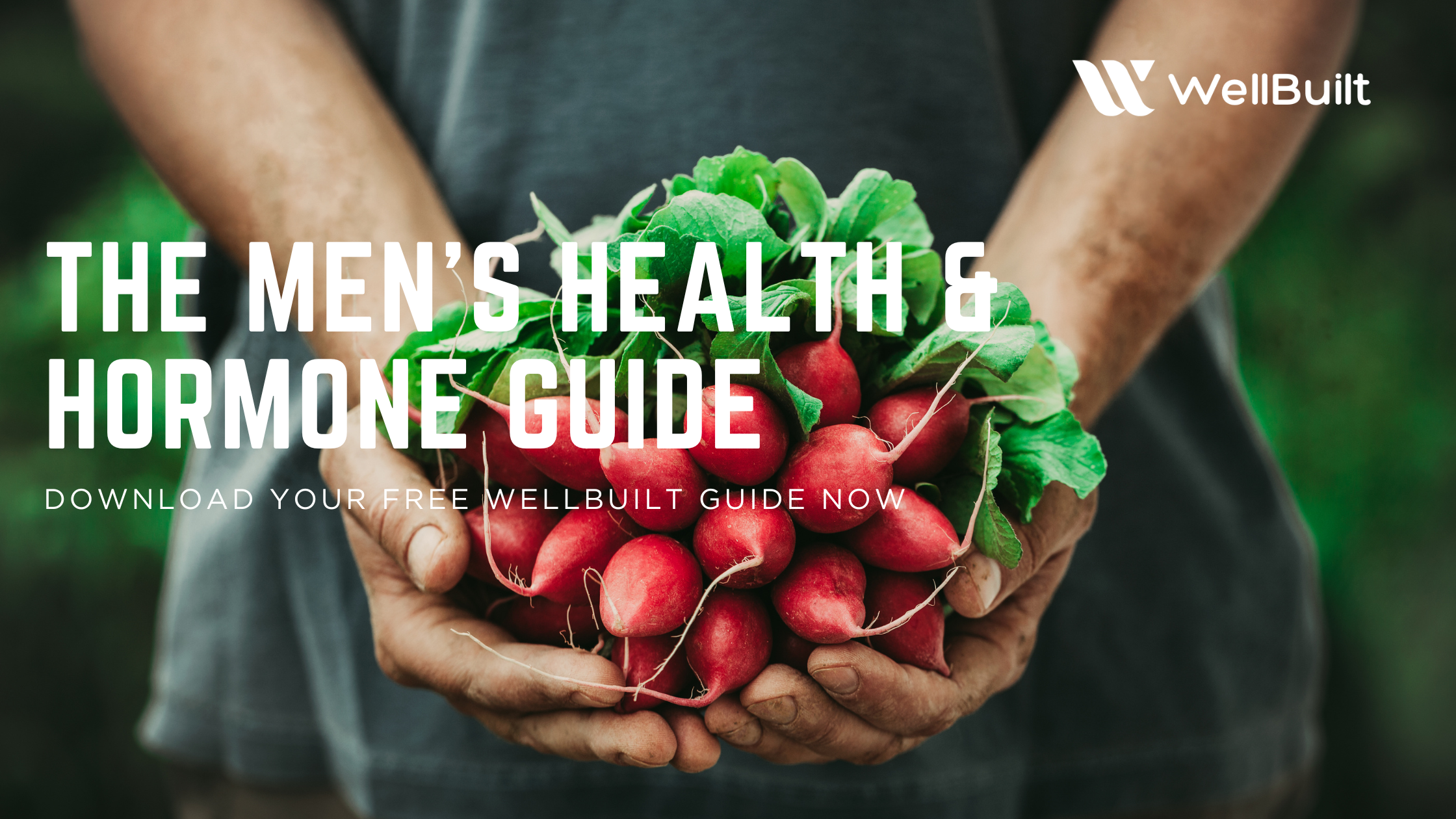 New: The Men’s Health &amp; Hormone Guide