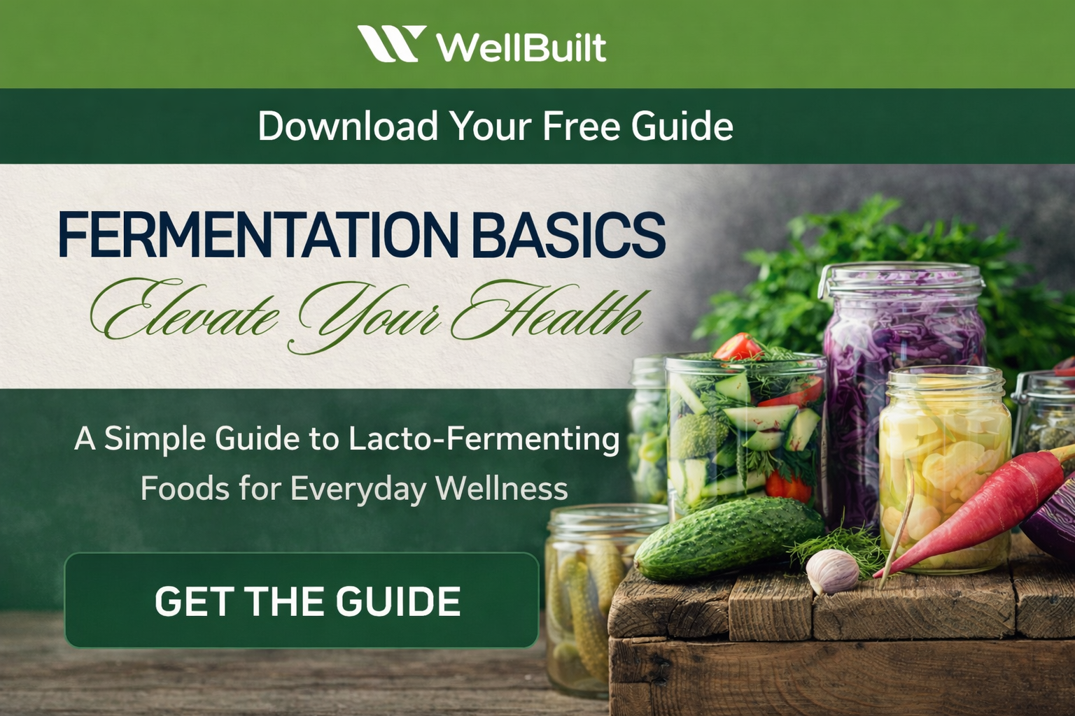 Fermentation Basics — WellBuilt - Optimizing Energy, Focus ...