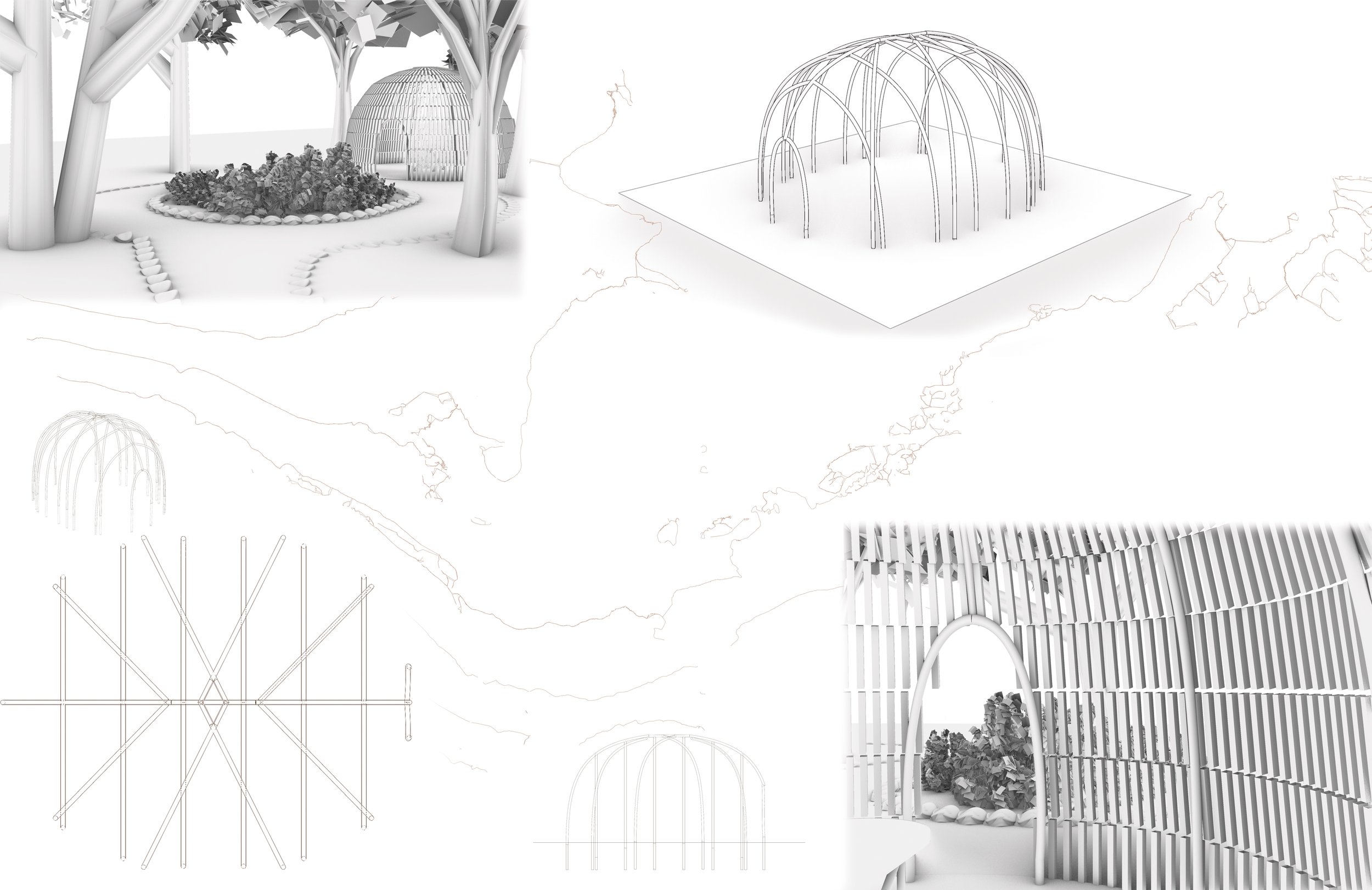 recip aux images.jpeg