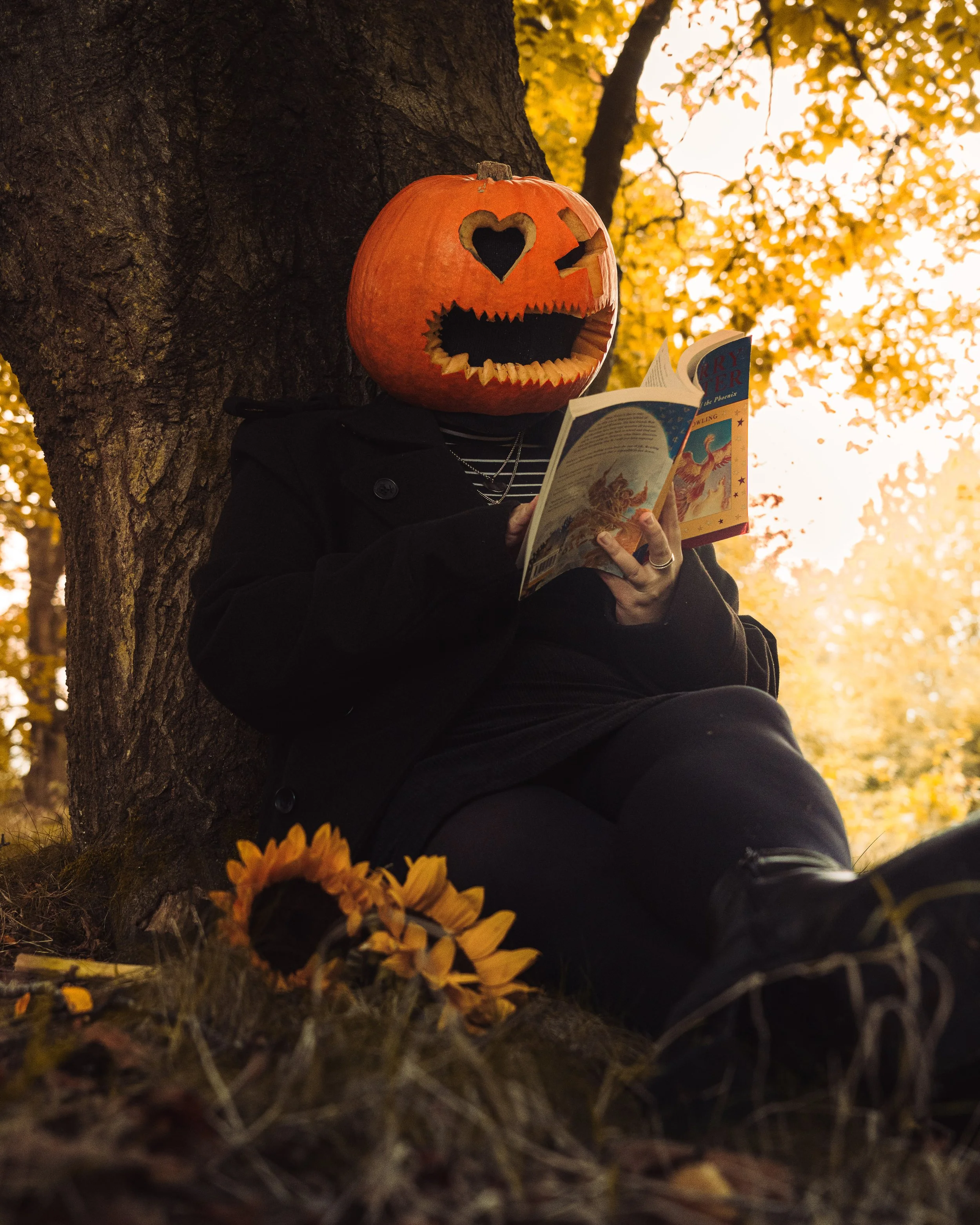 twr mar landscape-21.jpg