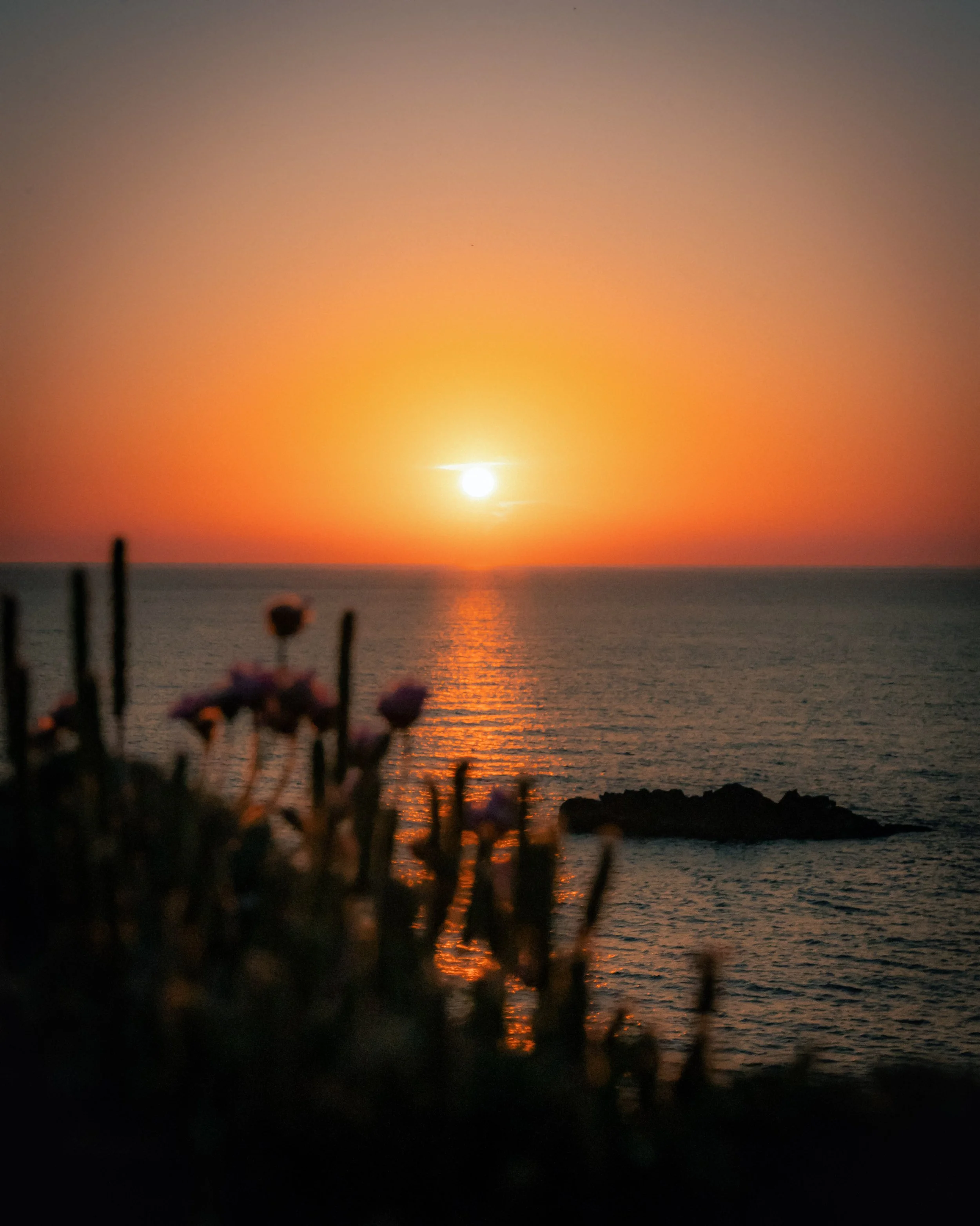 Photo 19-05-2024, 20 02 47 (1).jpg