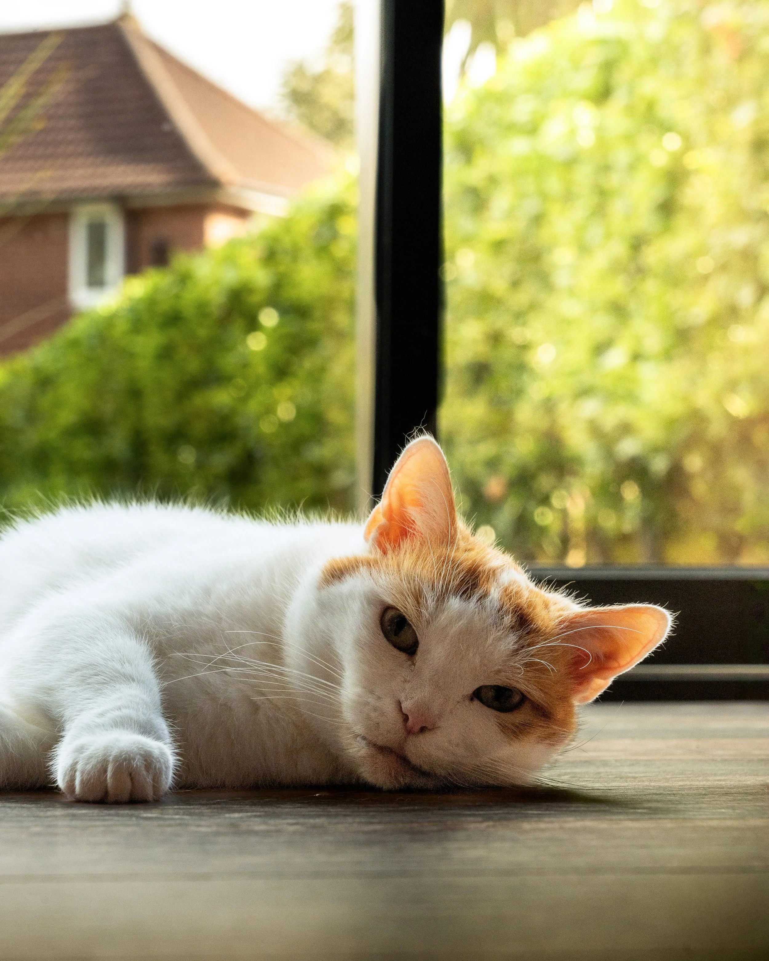 twr mar landscape-13.jpg