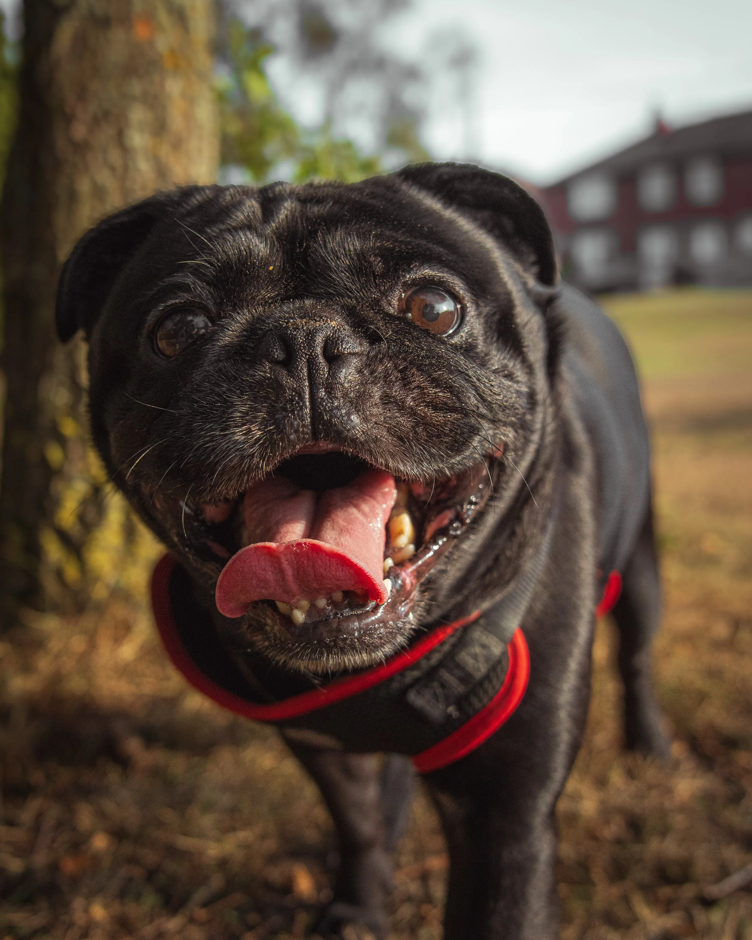 twr mar landscape-27.jpg