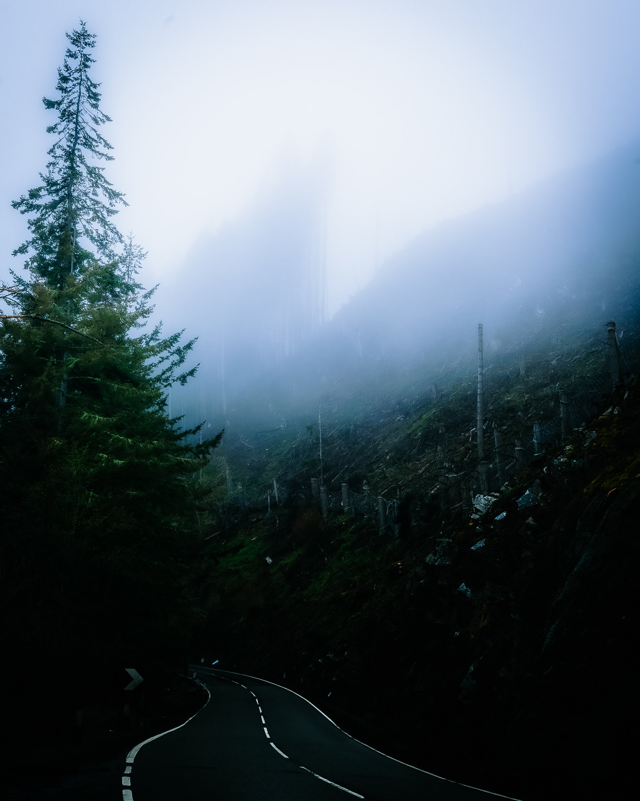 Loch Ness - Fog road-Enhanced-NR.jpg