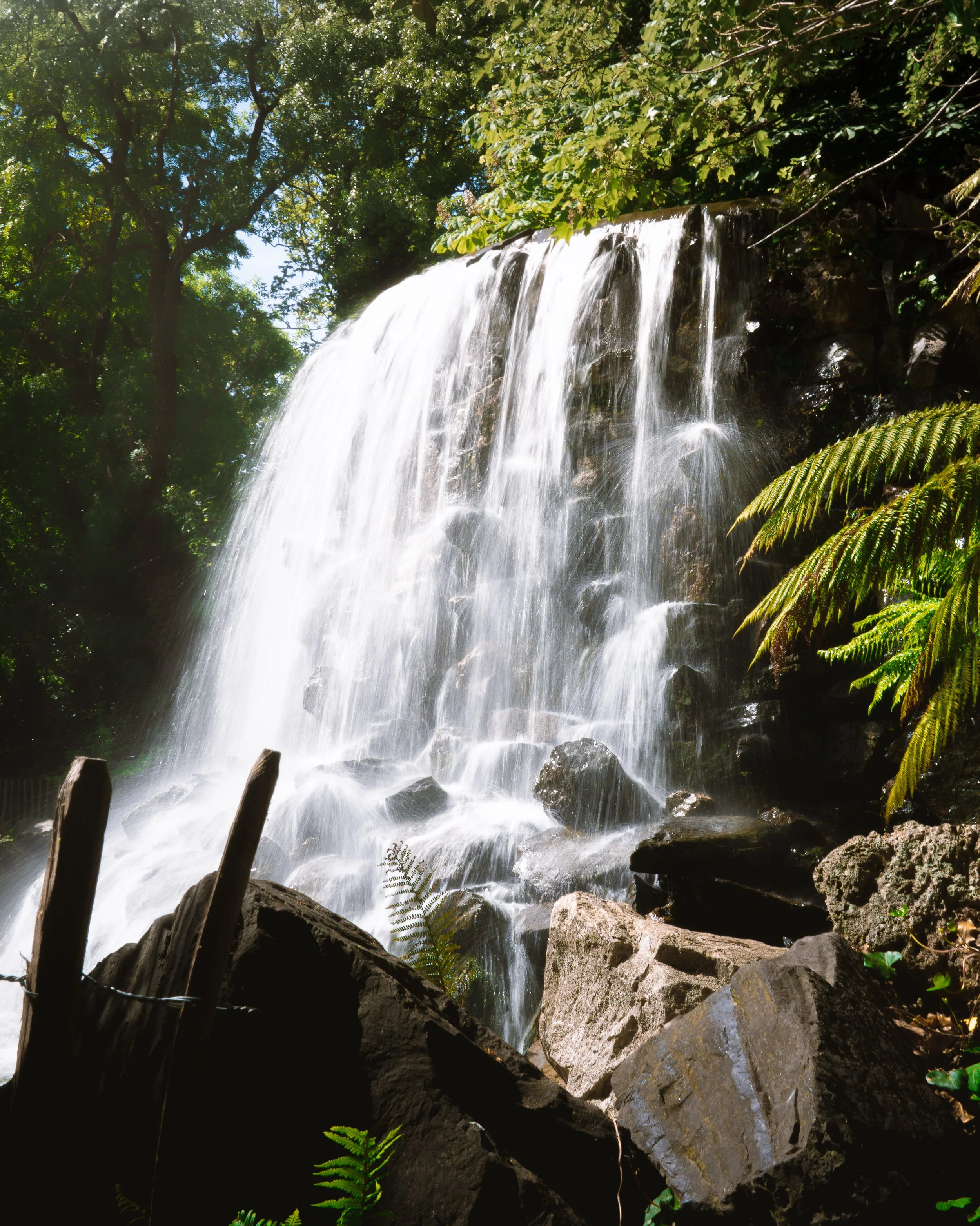 DSC01788 (1)-Enhanced-SR.jpg