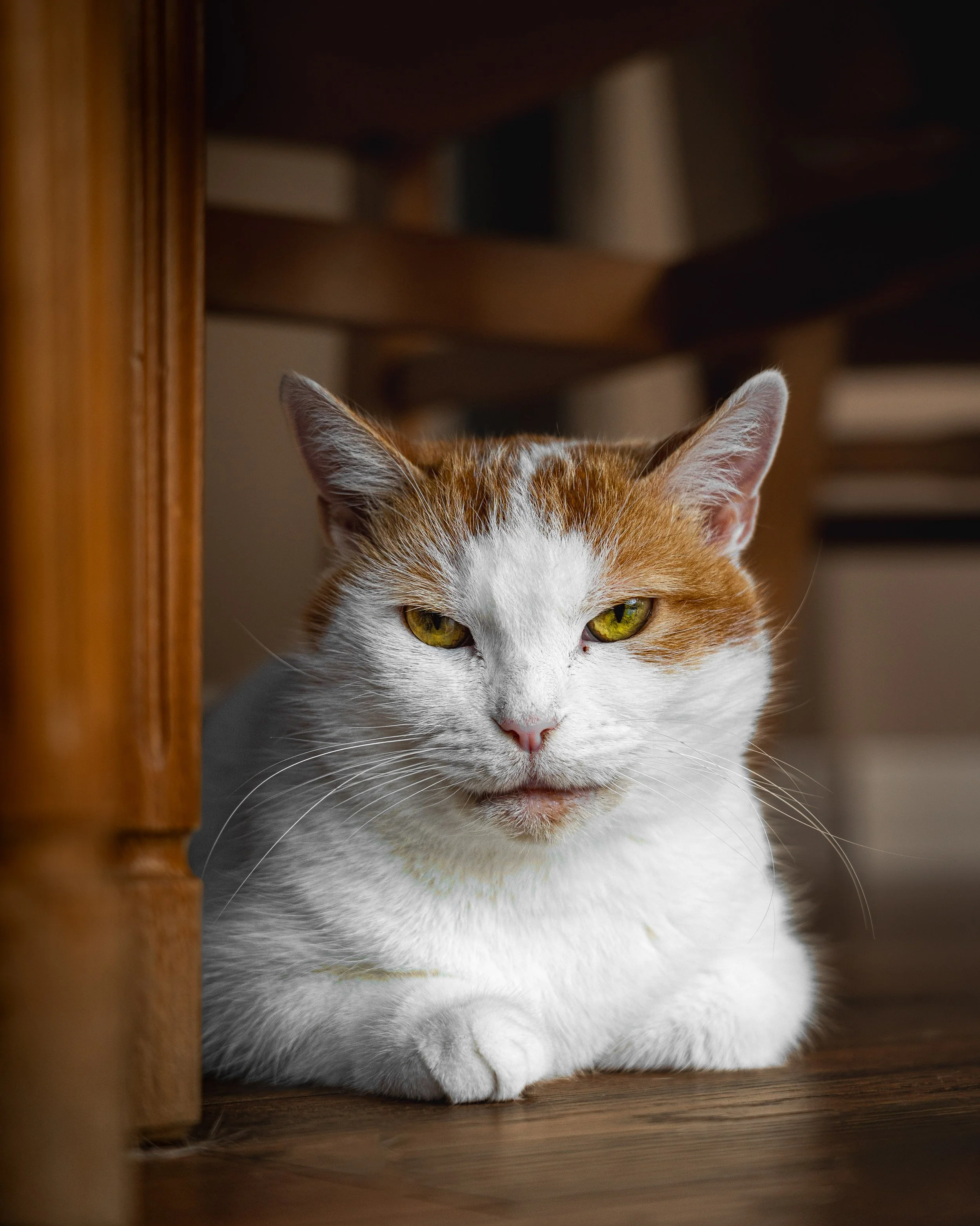 twr mar landscape-14.jpg