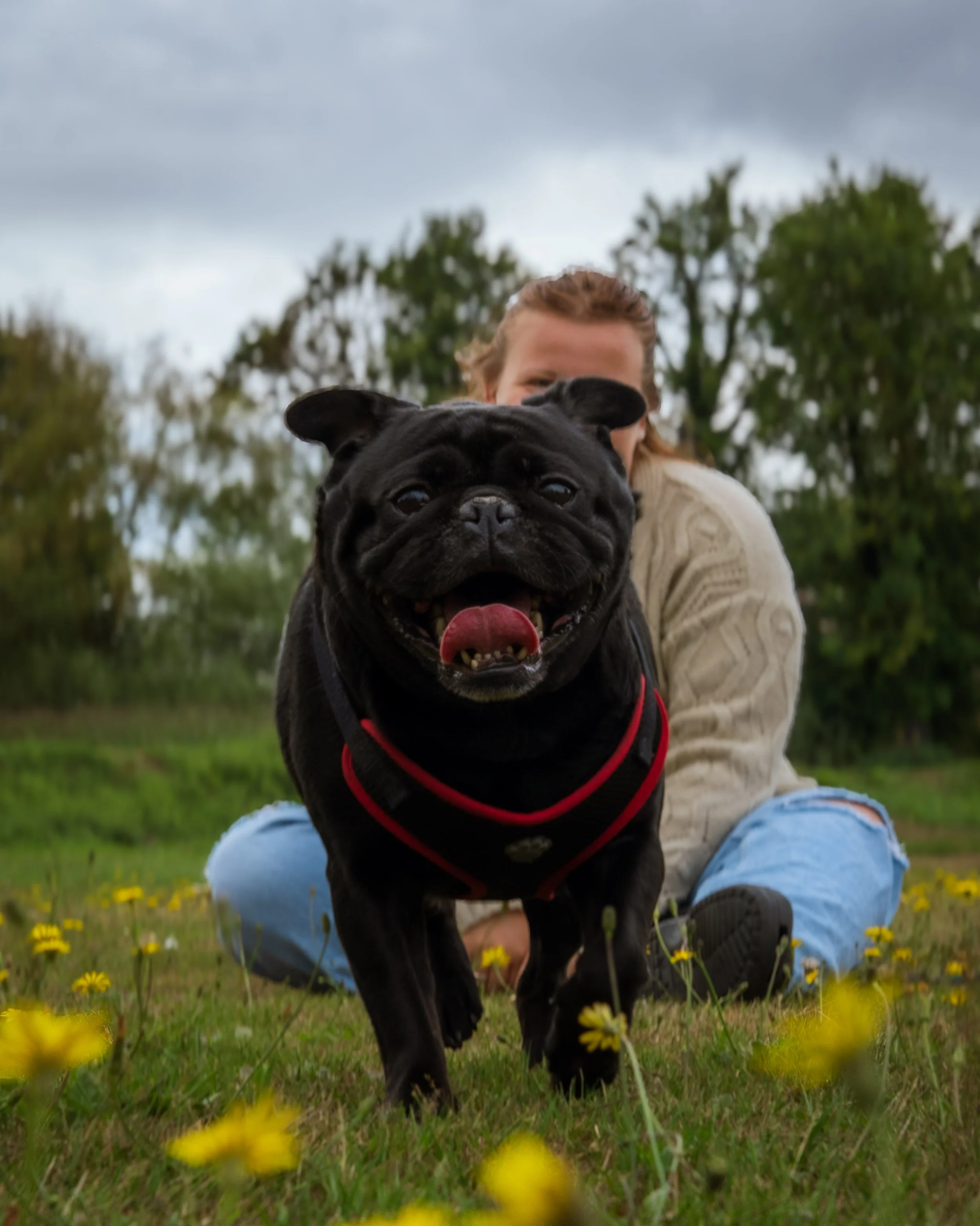 twr mar landscape-23.jpg