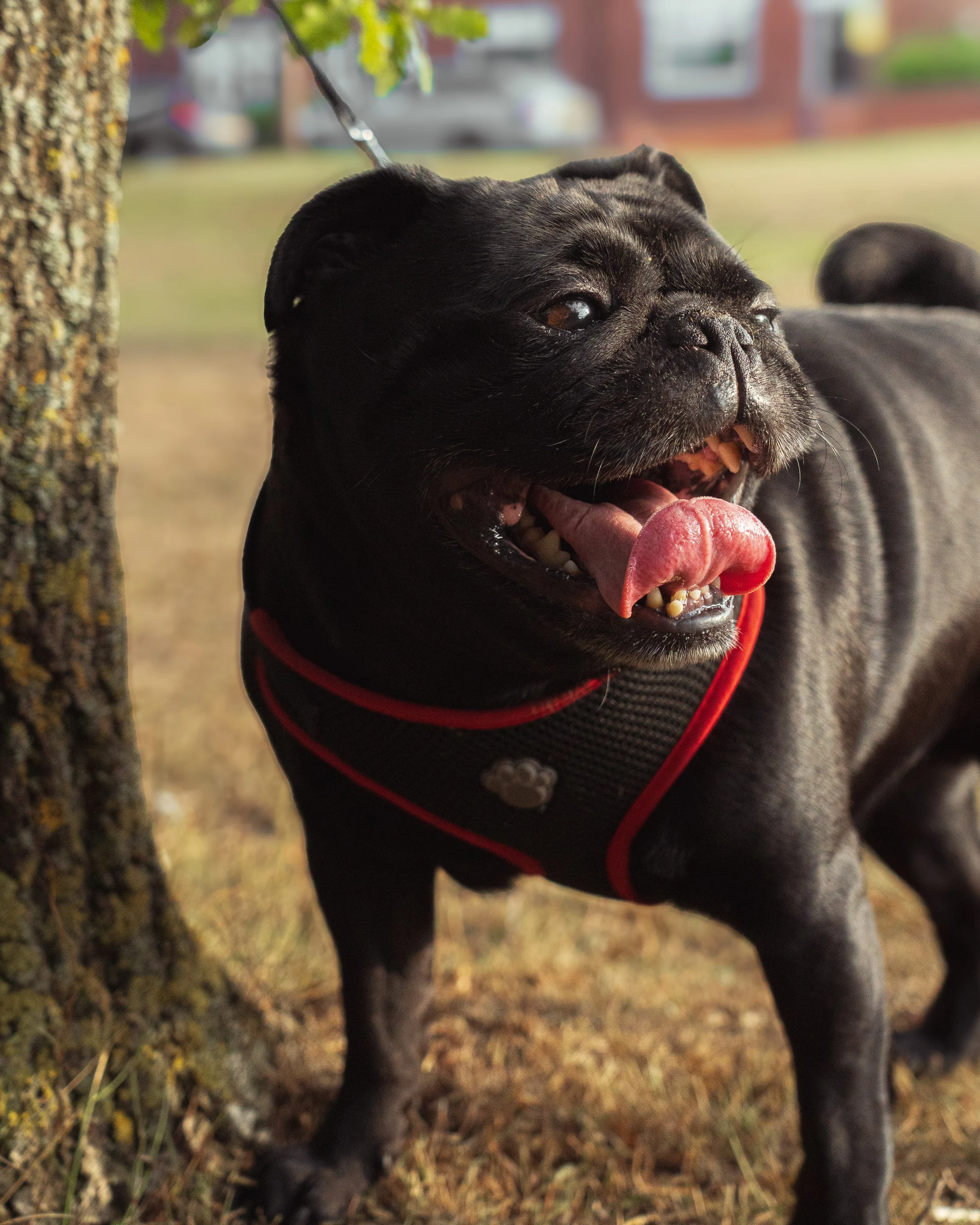 twr mar landscape-28.jpg