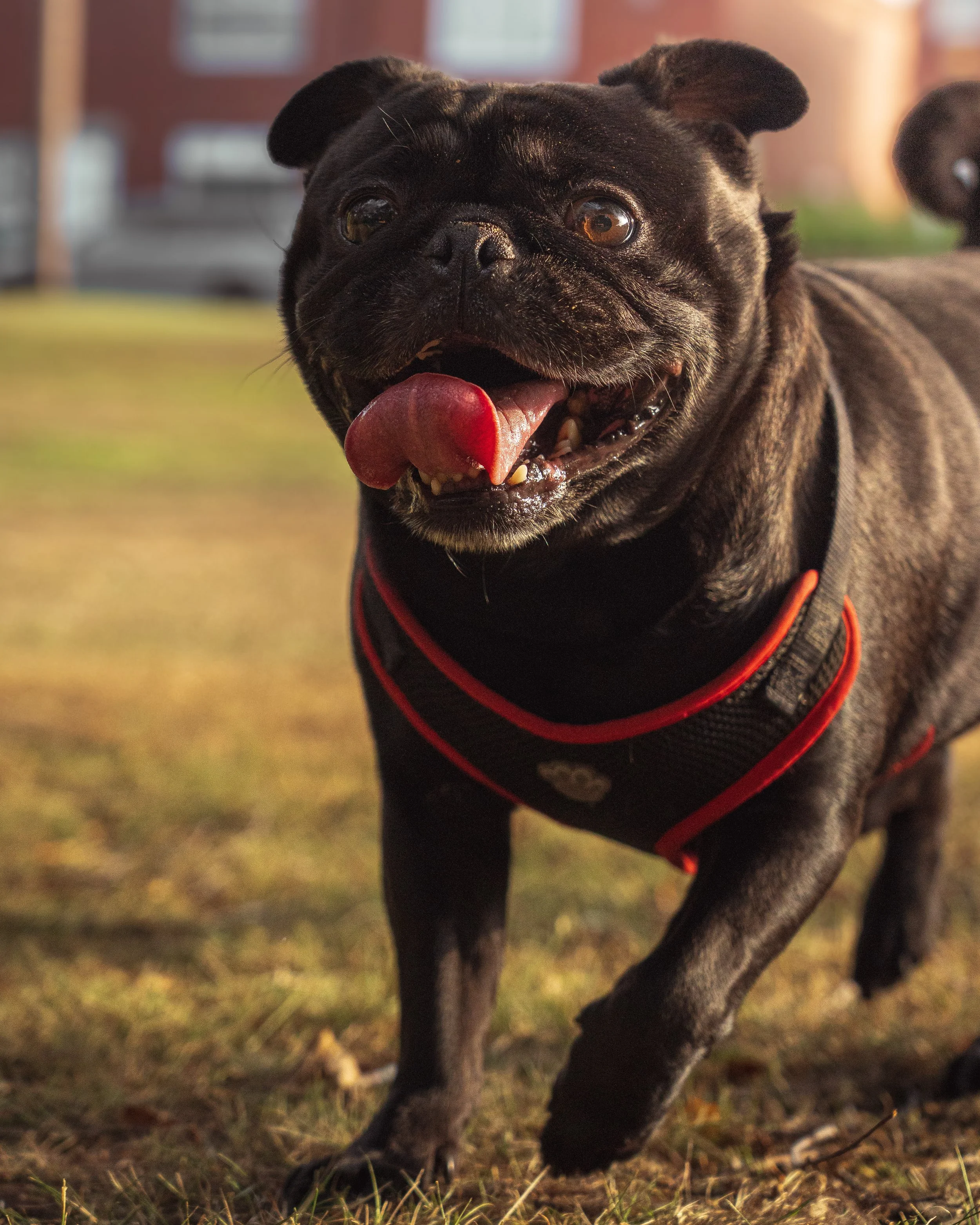 twr mar landscape-26.jpg