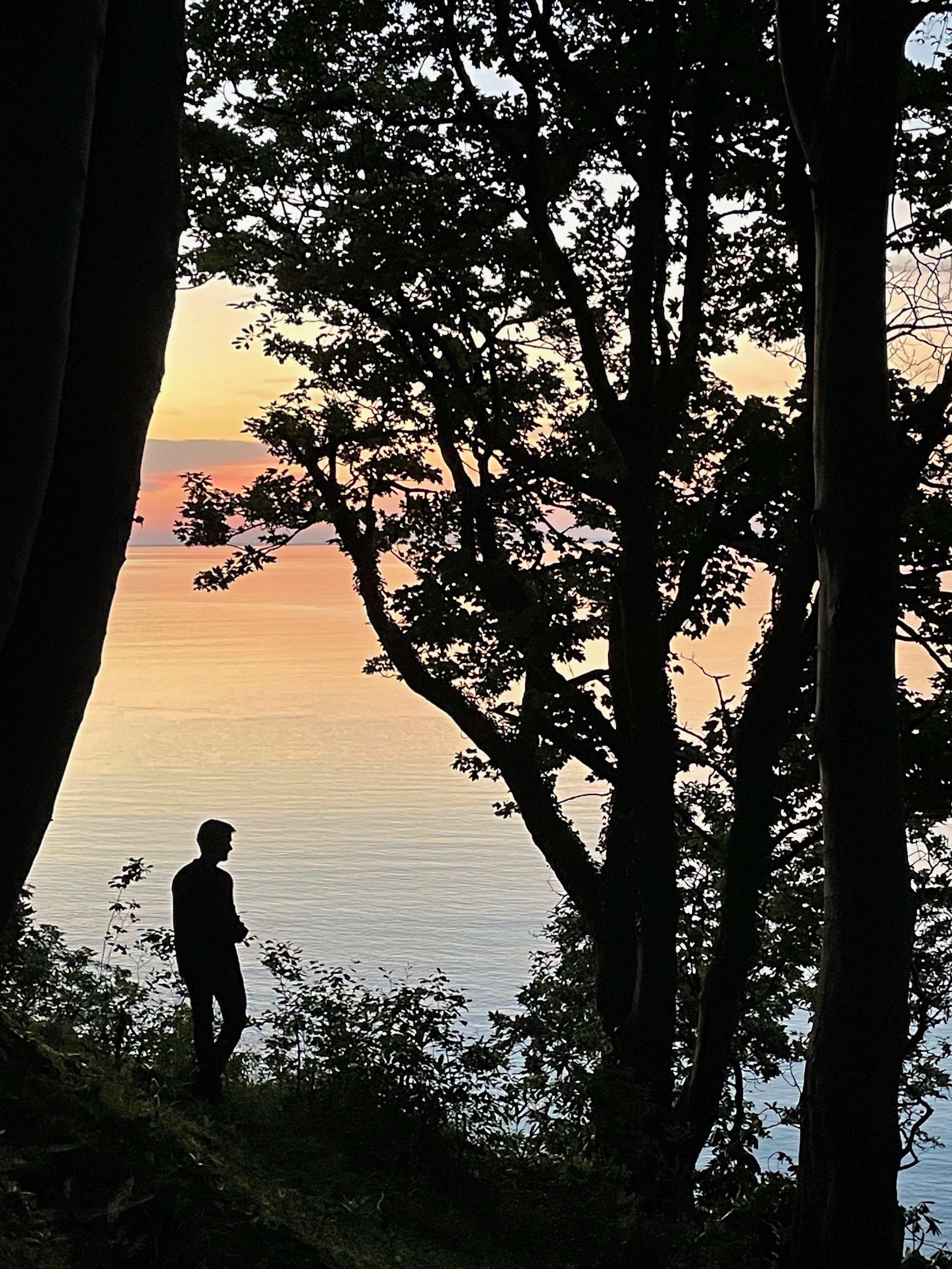 Silhouette of a person standing among trees at sunset, overlooking a calm body of water with a colorful sky in the background.