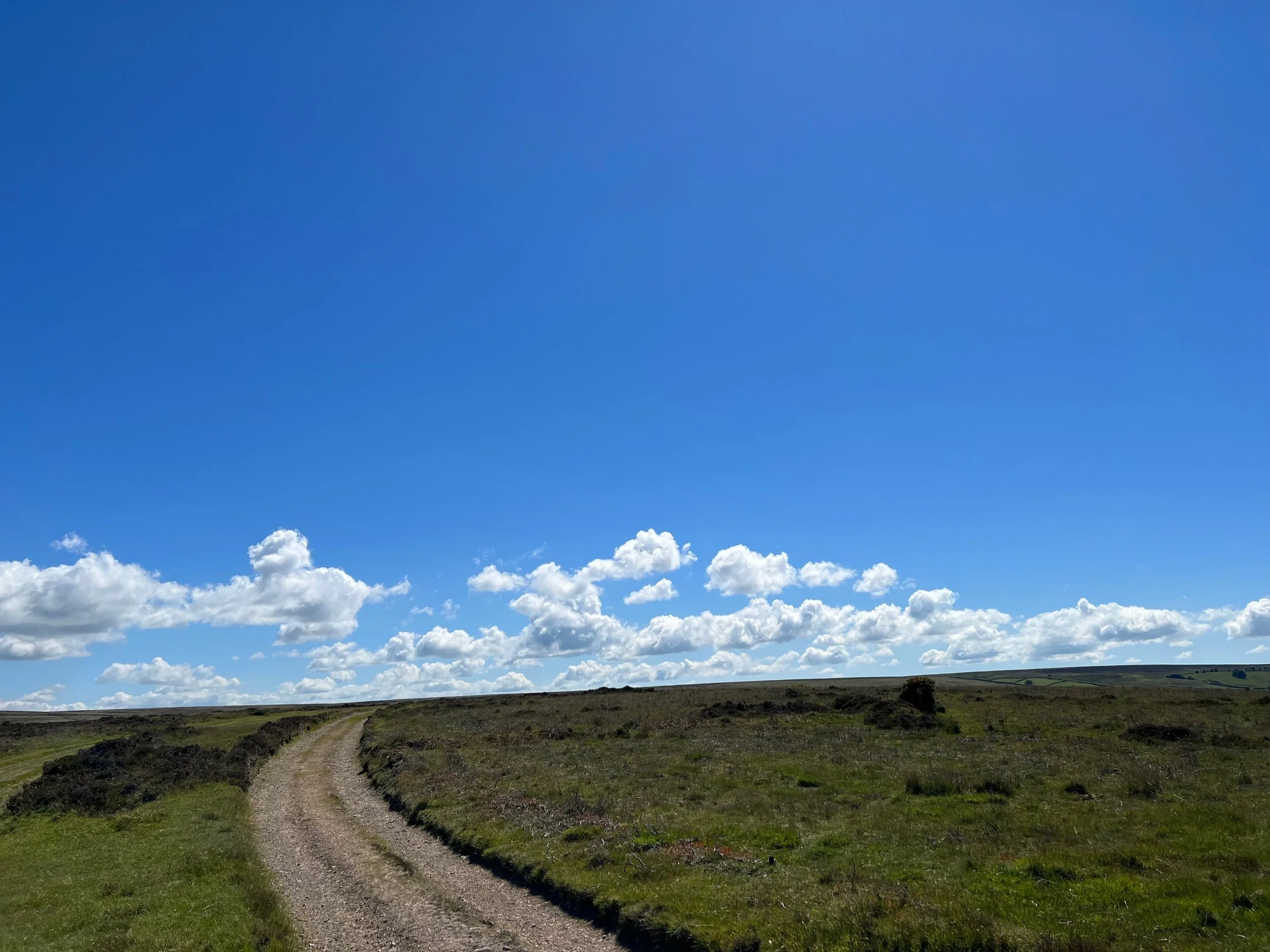A dirt pathway winding through green grassy fields under a bright blue sky with scattered white clouds.