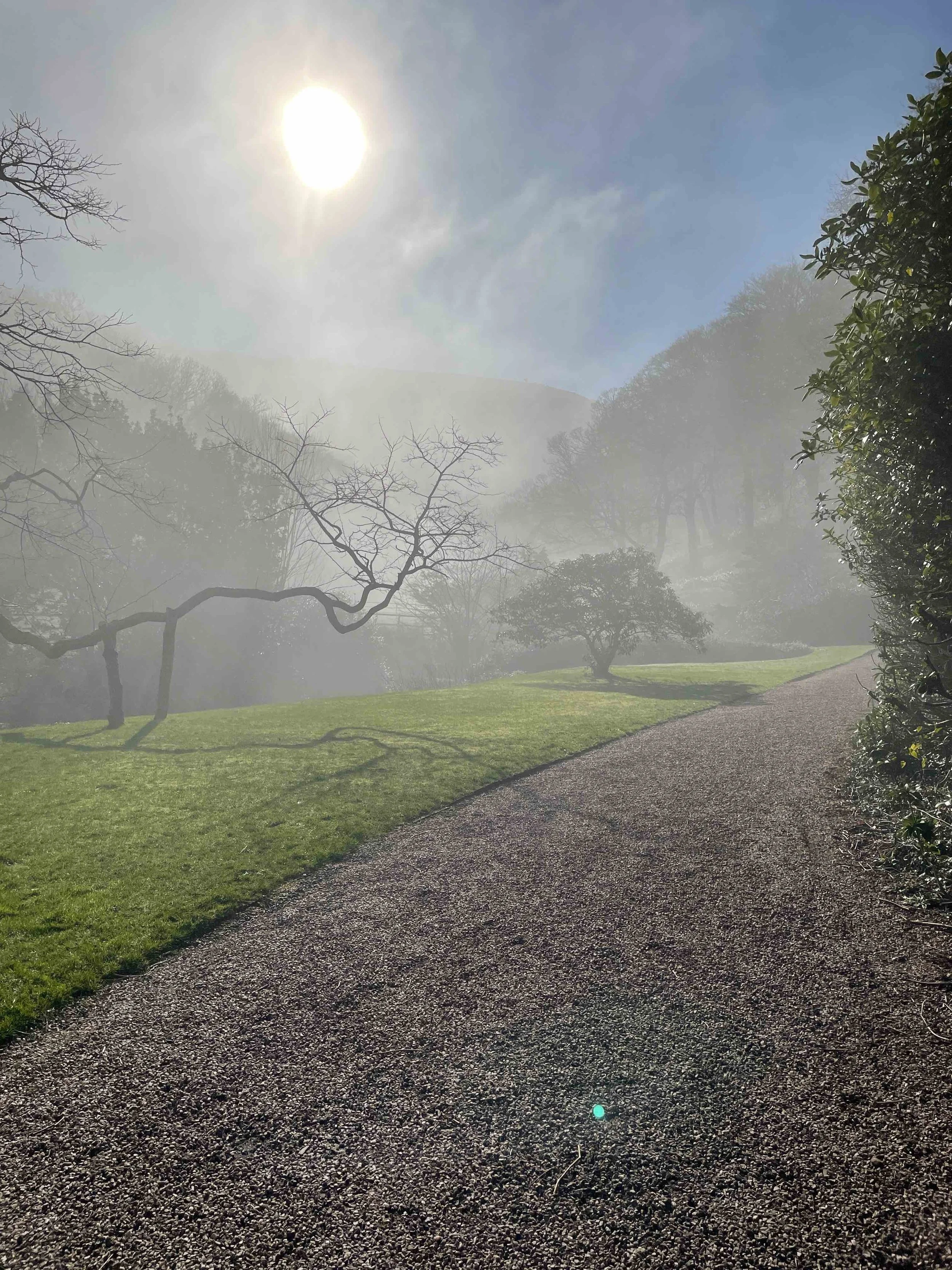 A foggy landscape with a gravel path, green grass, leafless trees, and some trees with leaves, under a bright sun in the sky.