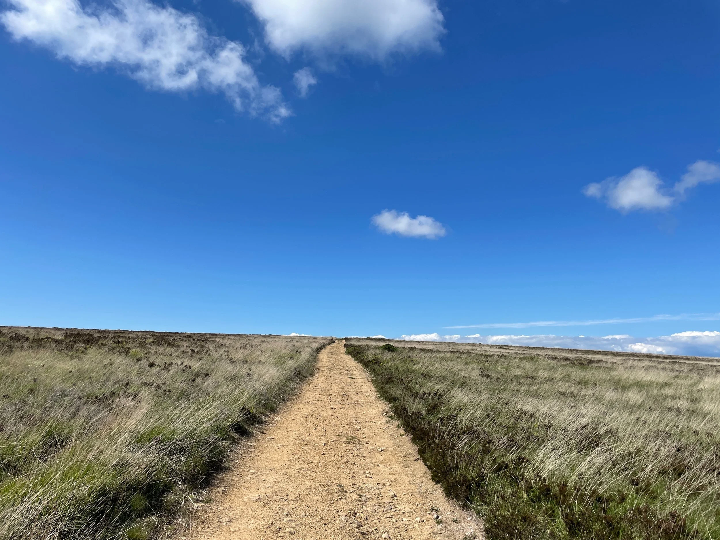 A dirt path through grassy fields under a bright blue sky with scattered white clouds.
