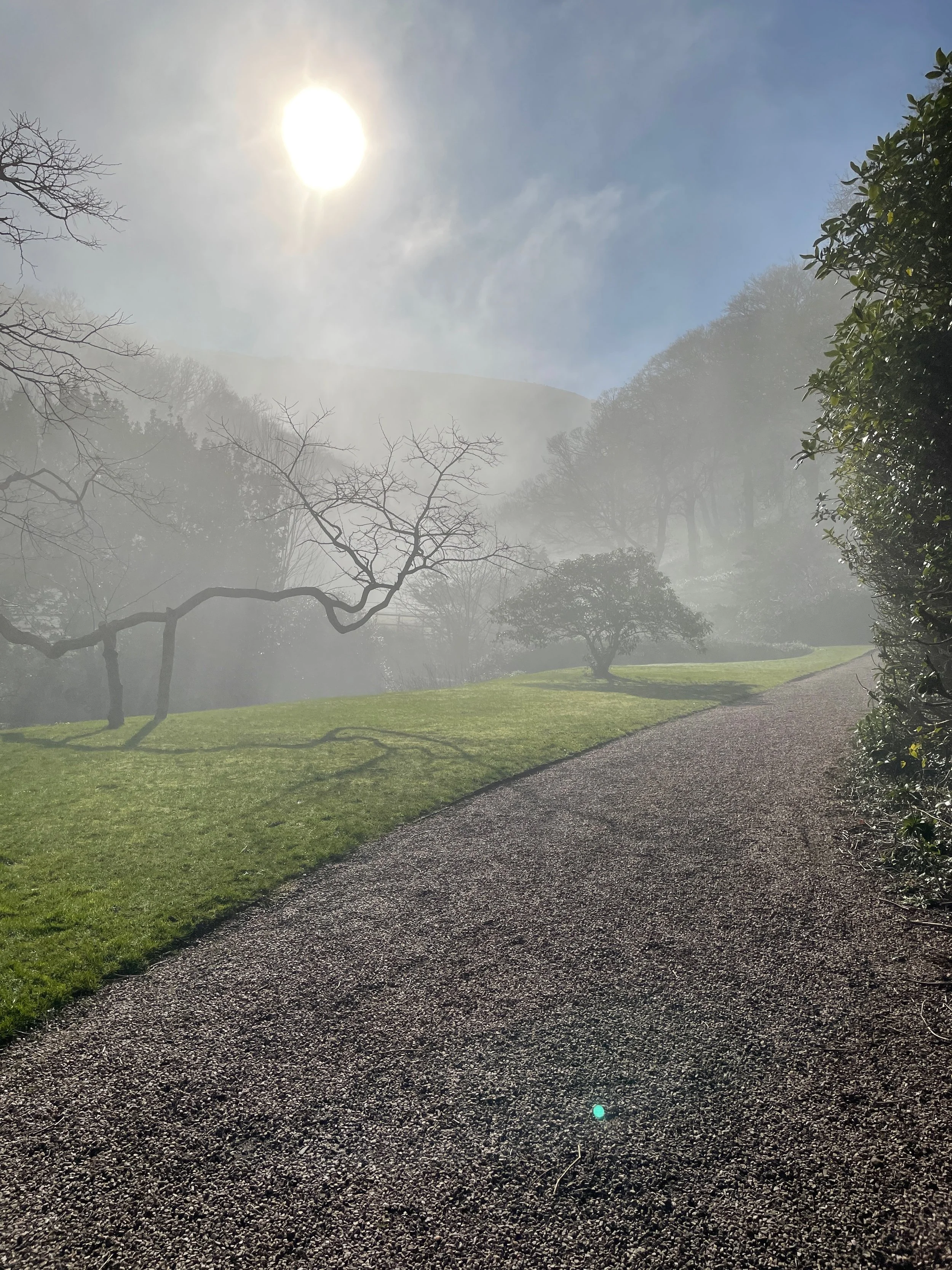 A sunlit foggy landscape with a gravel path, grassy areas, and leafless and green trees, with hills in the background.