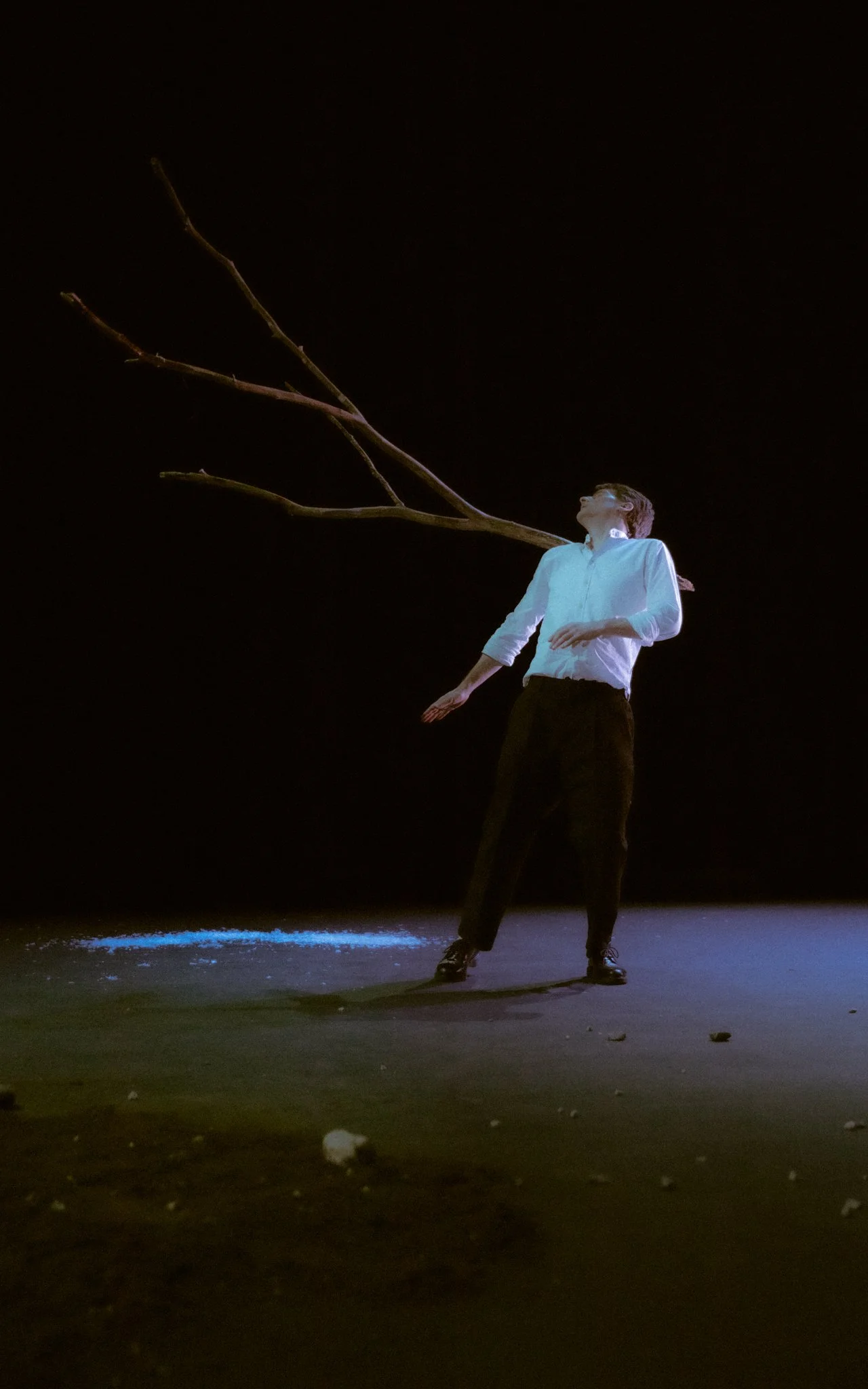 A performer on stage wearing a white shirt and black pants, with a large tree branch extending from behind him, under a dark lighted environment.