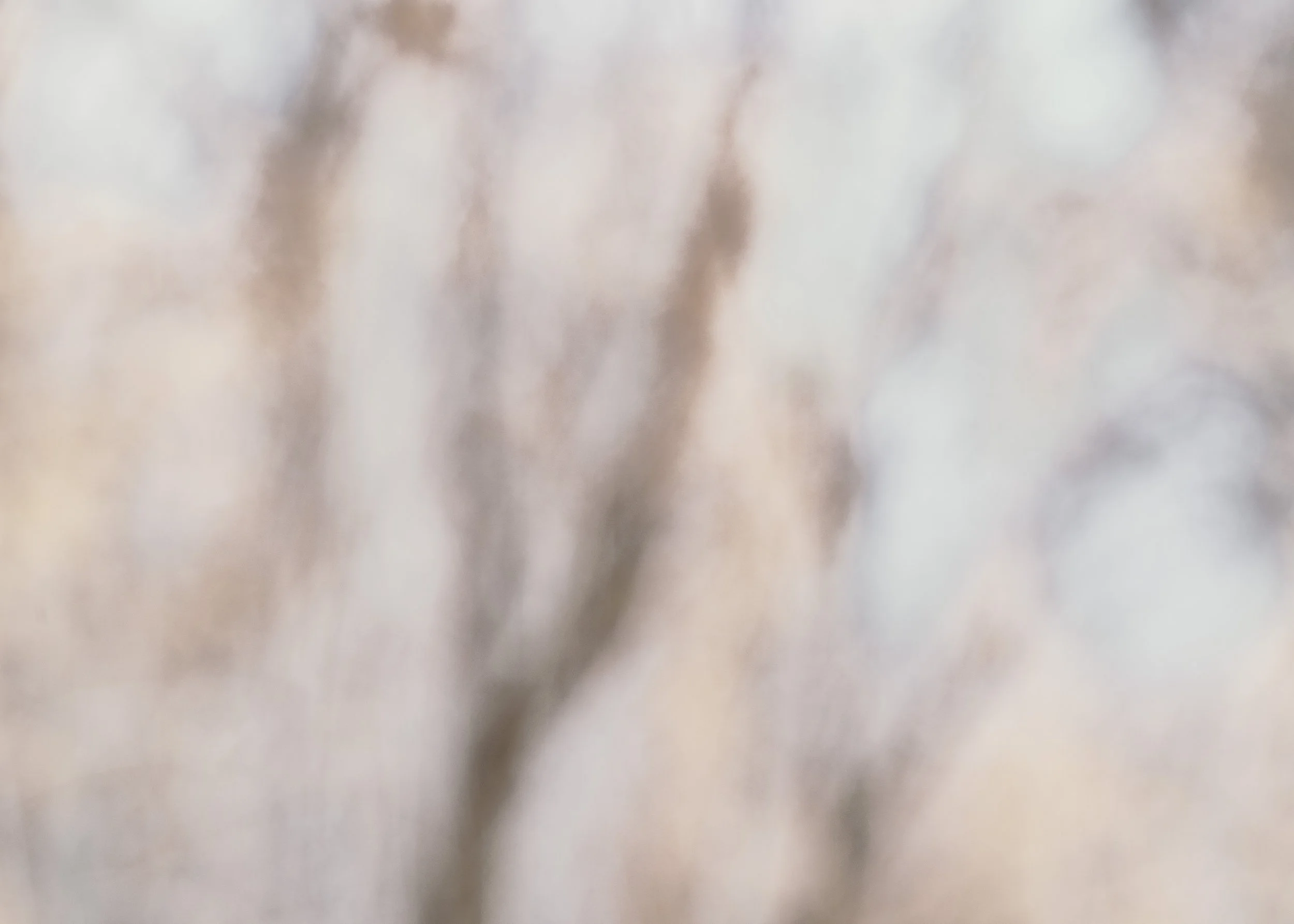 Bosque del Apache, NM 2026
