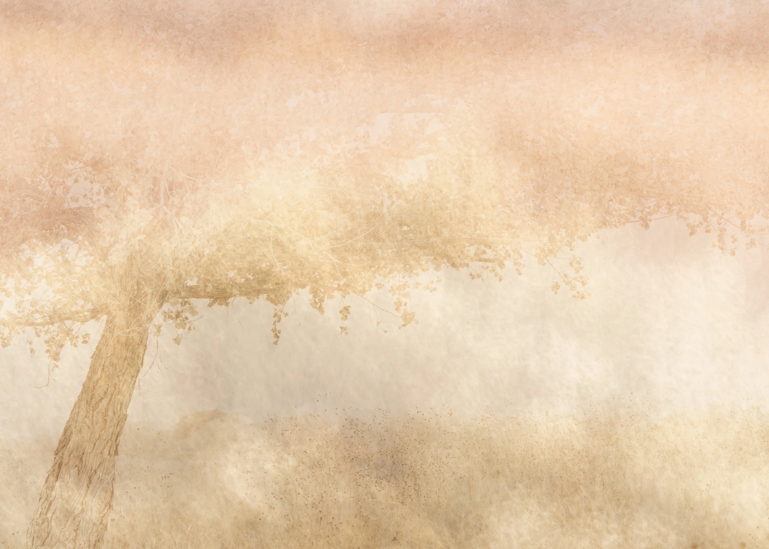 Bosque del Apache, NM 2026