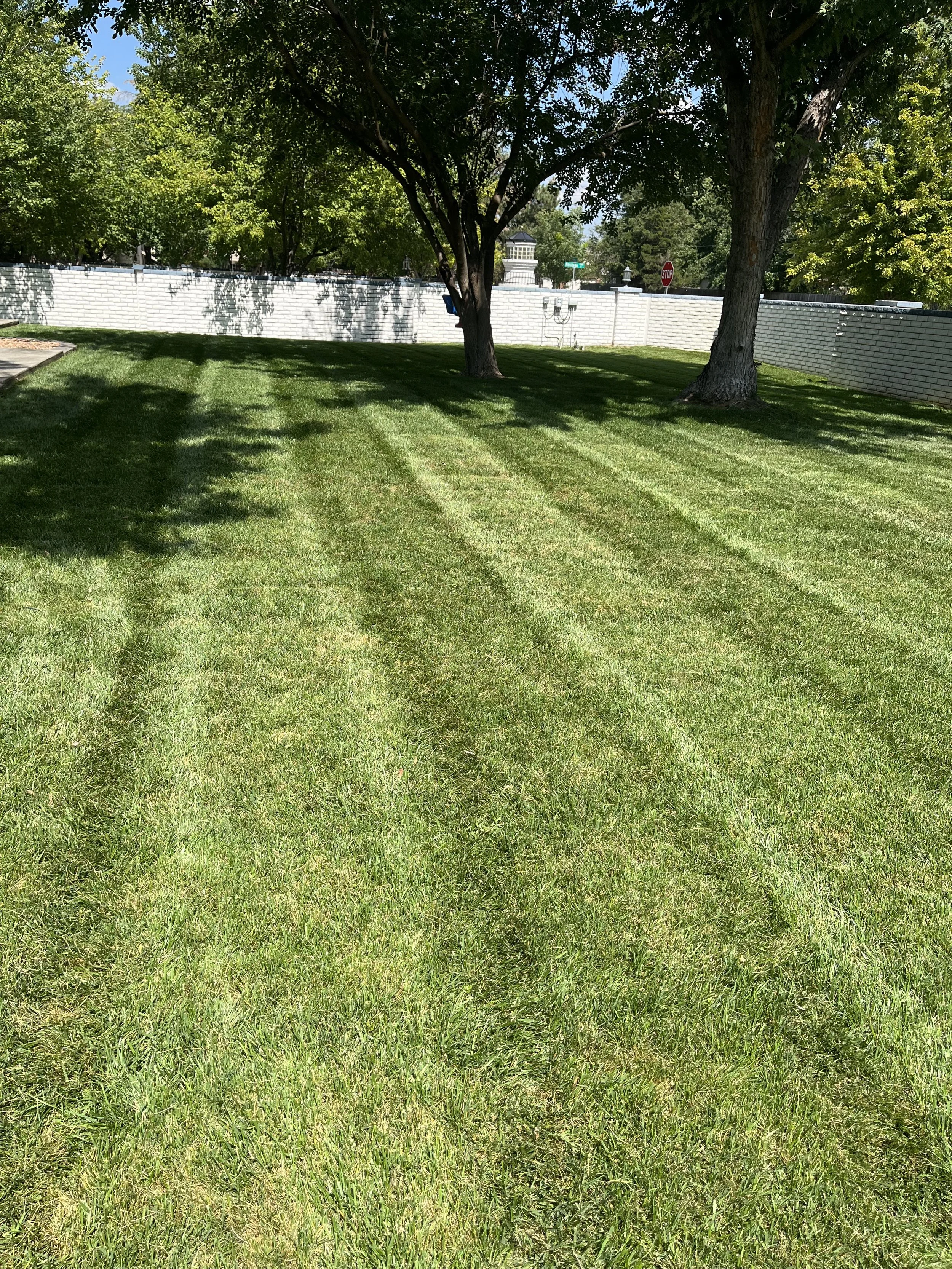 A well manicured lawn with two large trees casting shadows, enclosed by a white brick wall, with a stop sign and street signs in the background.