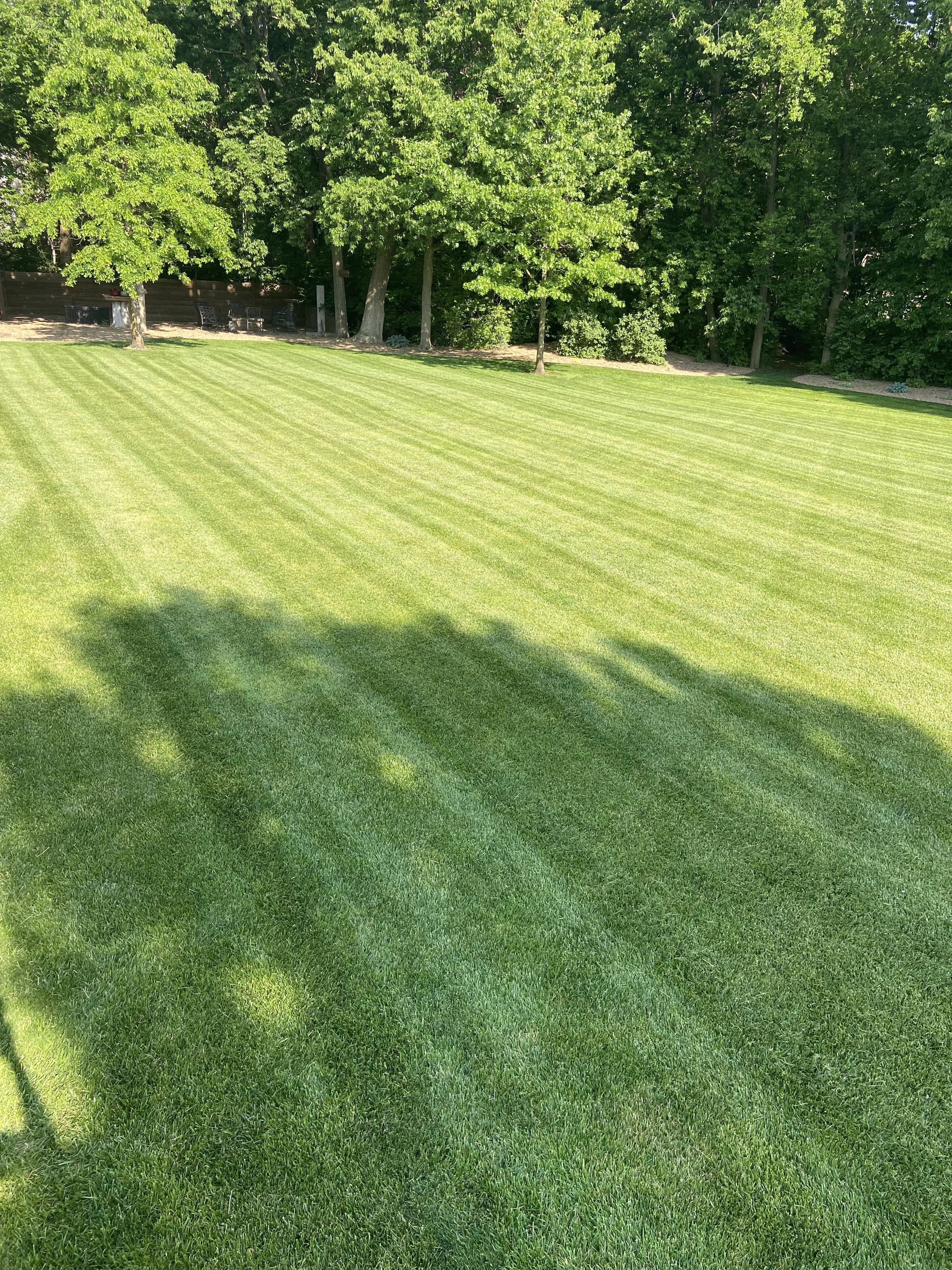 A well-maintained grassy lawn with trees and shadows under a bright, sunny sky.