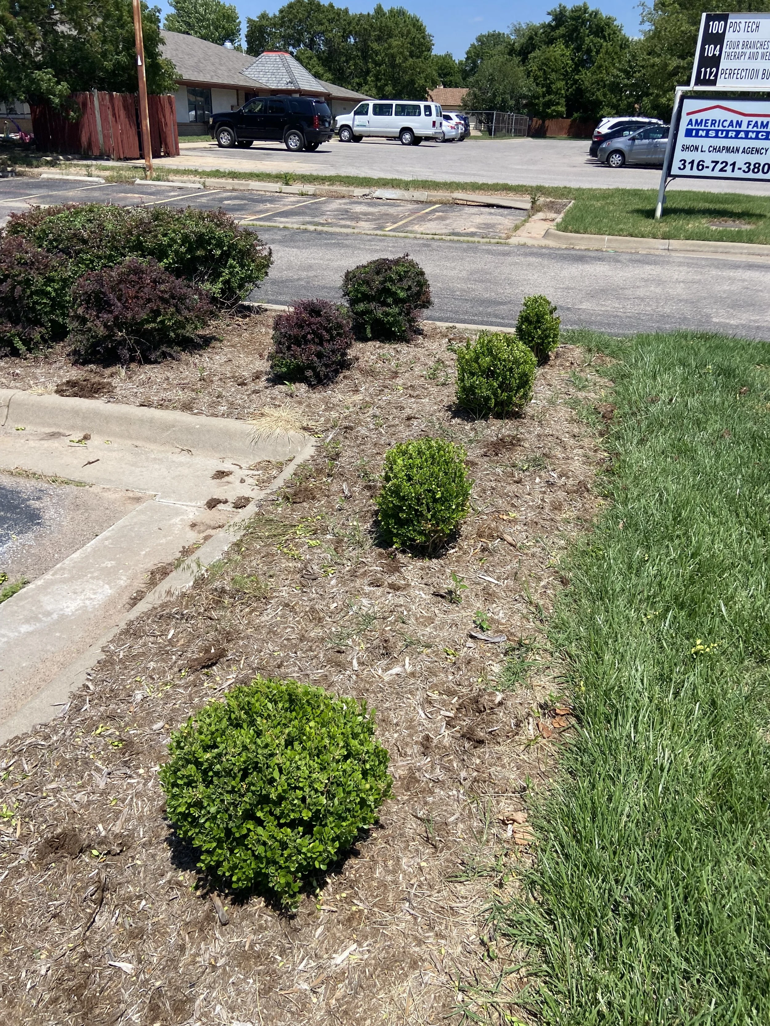 A small landscaped area with neatly trimmed bushes and grass beside a paved parking lot. In the background, there are parked cars, a building, and a large sign for an insurance agency.