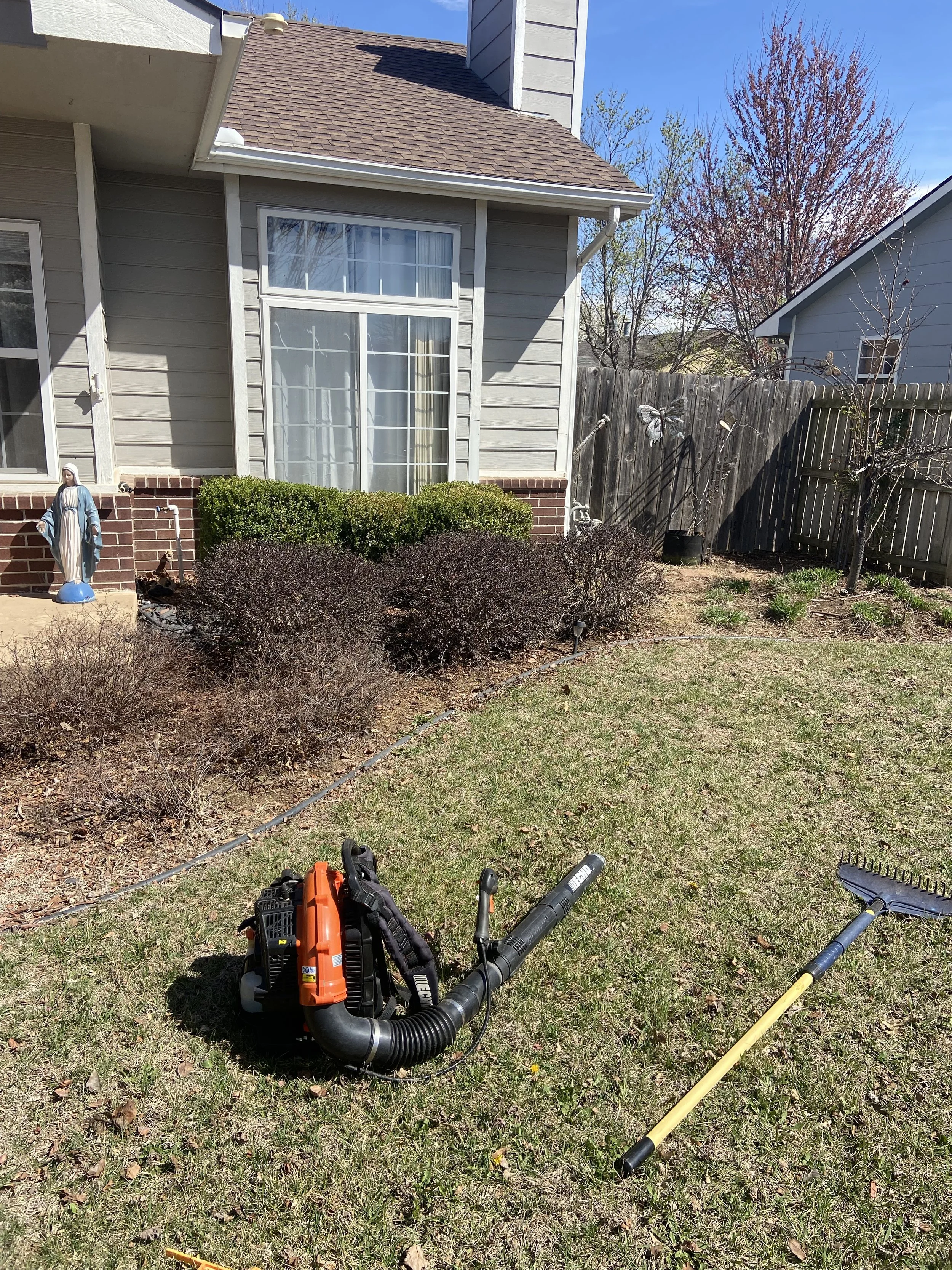 Backyard with a lawn and bushes, gardening tools including an orange leaf blower and a yellow rake, a statue of Mary, a small tree, and a wooden fence, with a house in the background.