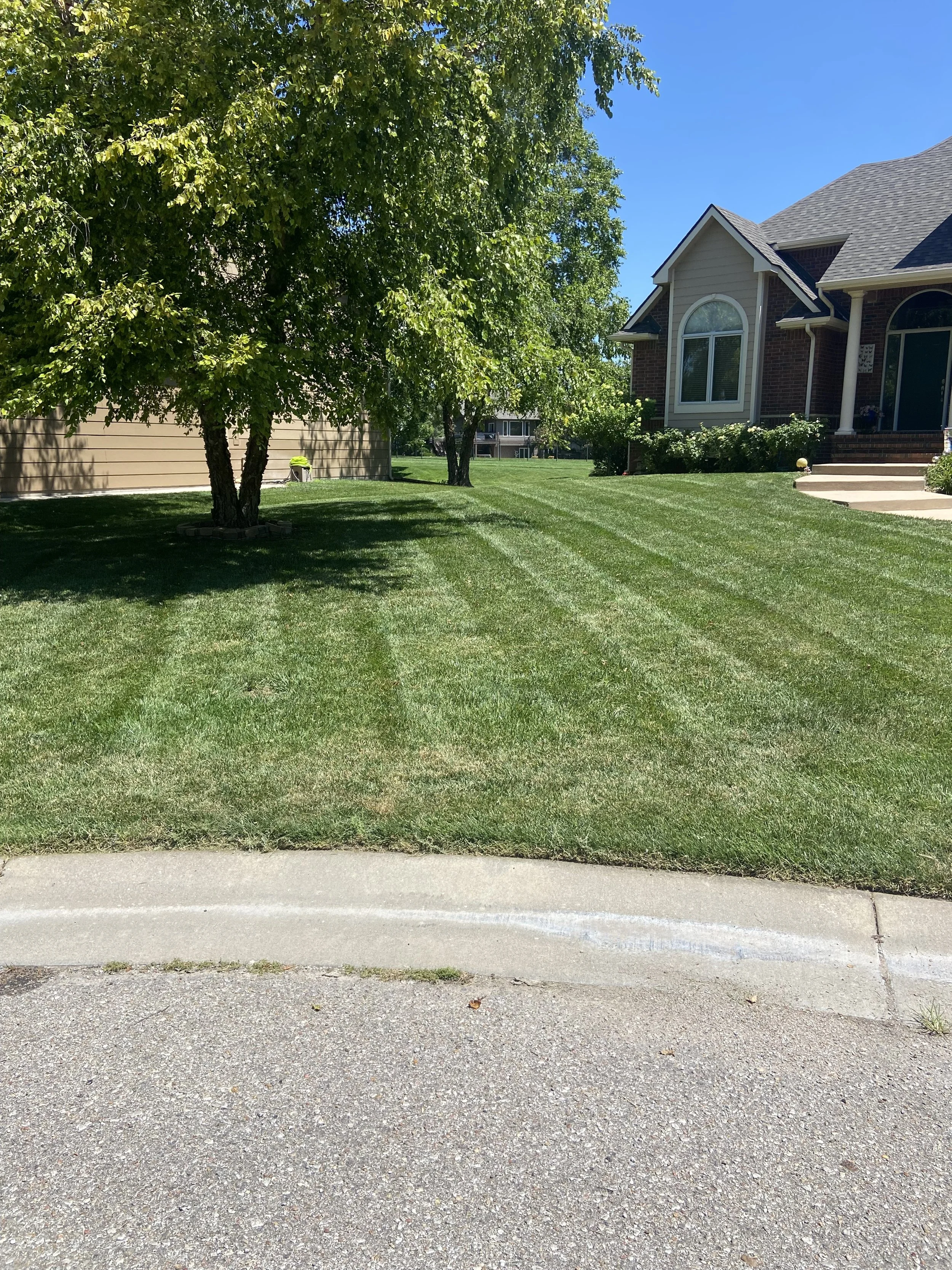 A well-maintained front yard with lush green grass, a large leafy tree, concrete steps leading to a brick house, and a paved street curb in the foreground under a clear blue sky.