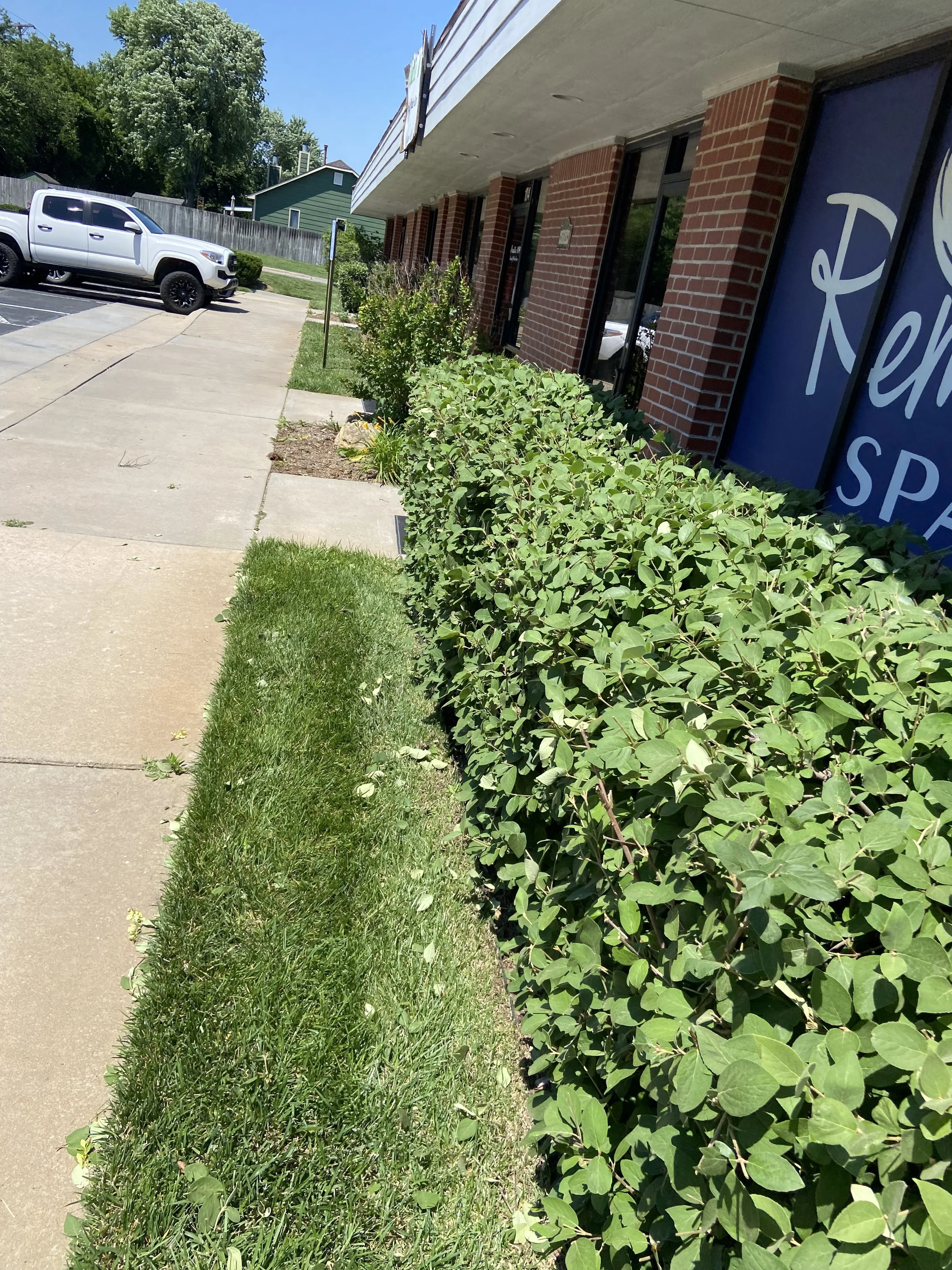 Sidewalk with green bushes and grass, brick building with large windows, parking lot with white truck, blue sky, trees