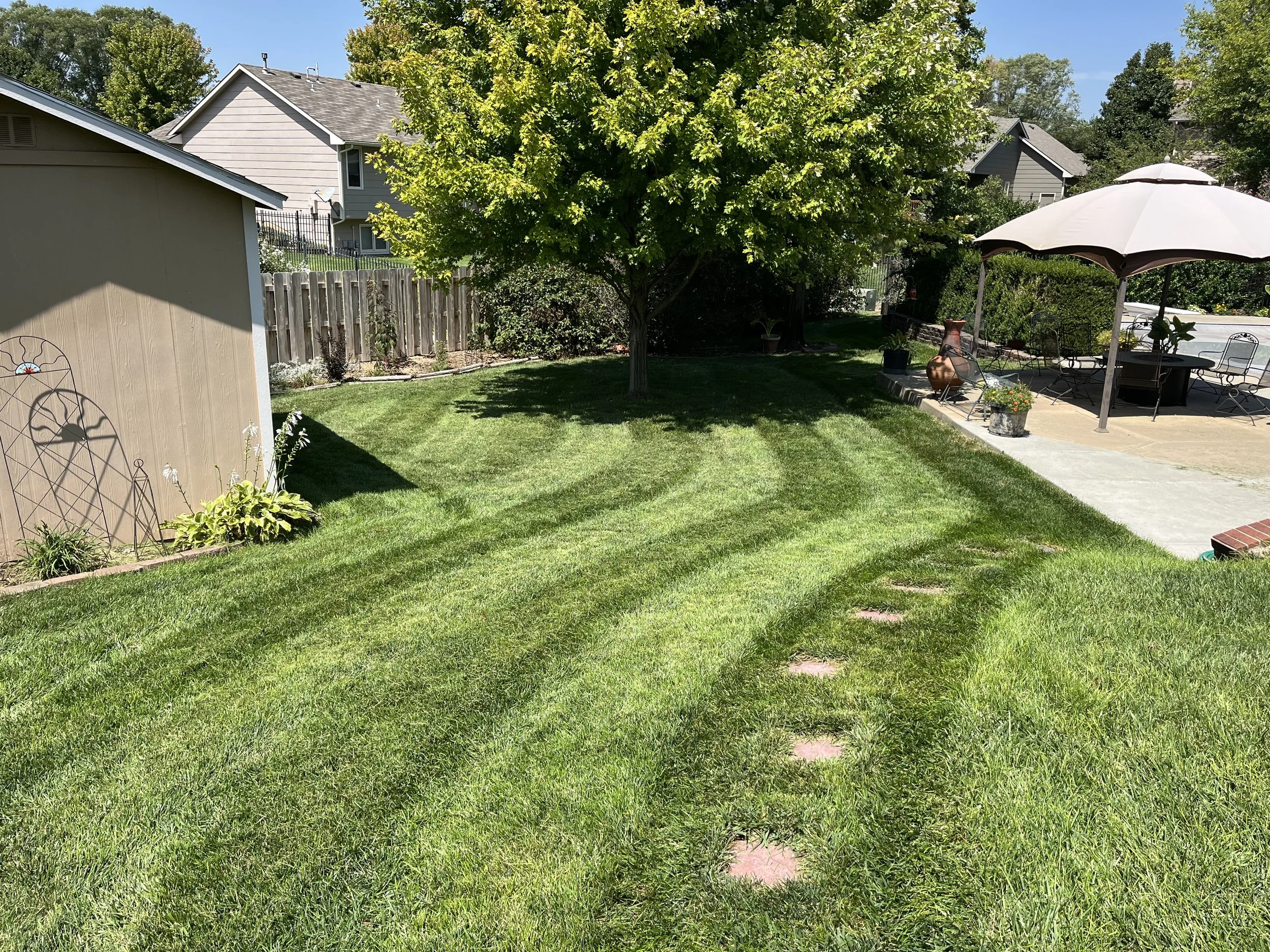 A well-maintained backyard with freshly mowed grass, a large leafy tree, a wooden fence, a shed on the left, and a patio area on the right with outdoor furniture, an umbrella, and potted plants. There are neighboring houses in the background under a clear blue sky.