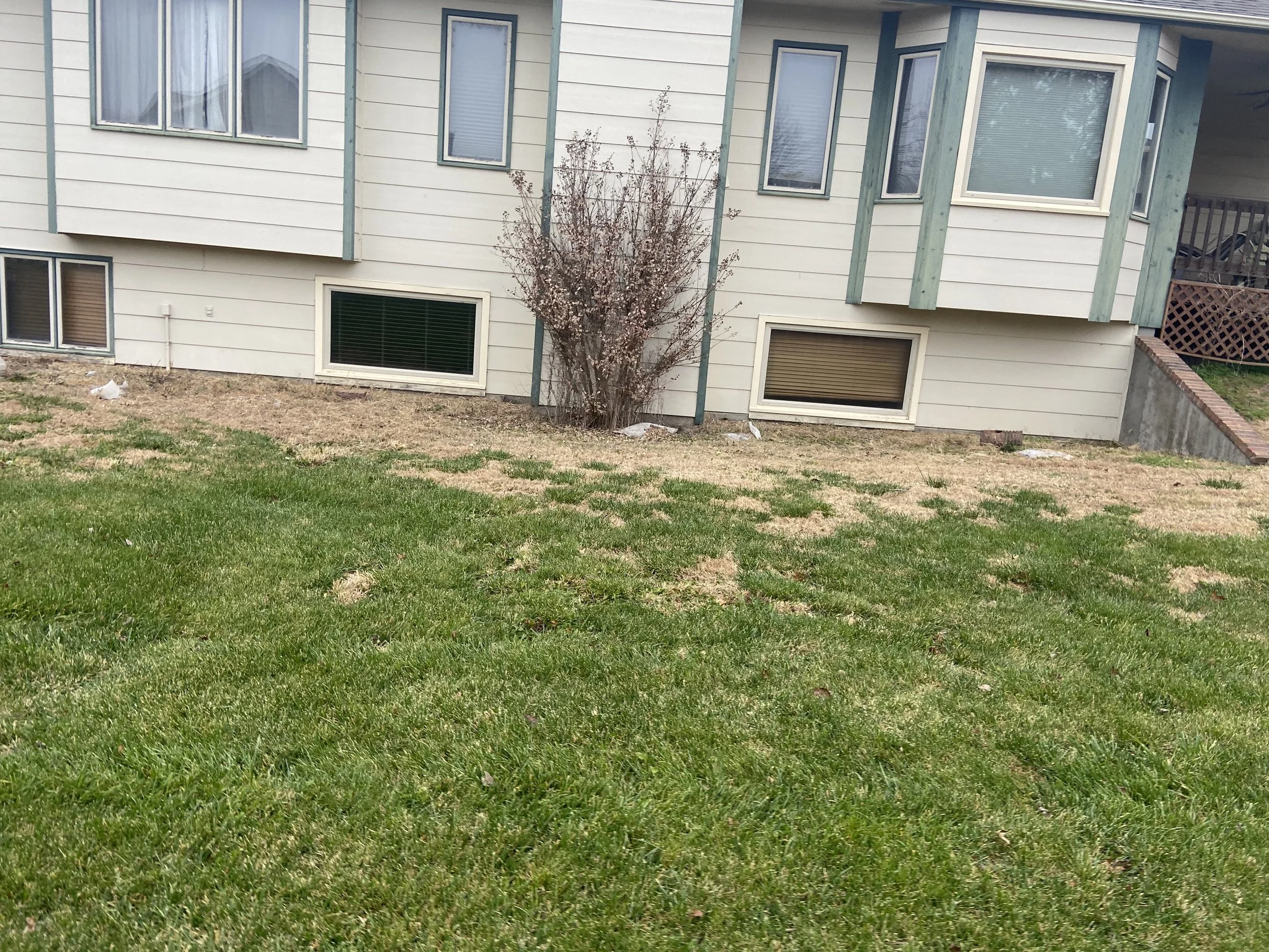 Backyard with grass, patchy area, and a house with multiple windows and modern siding.