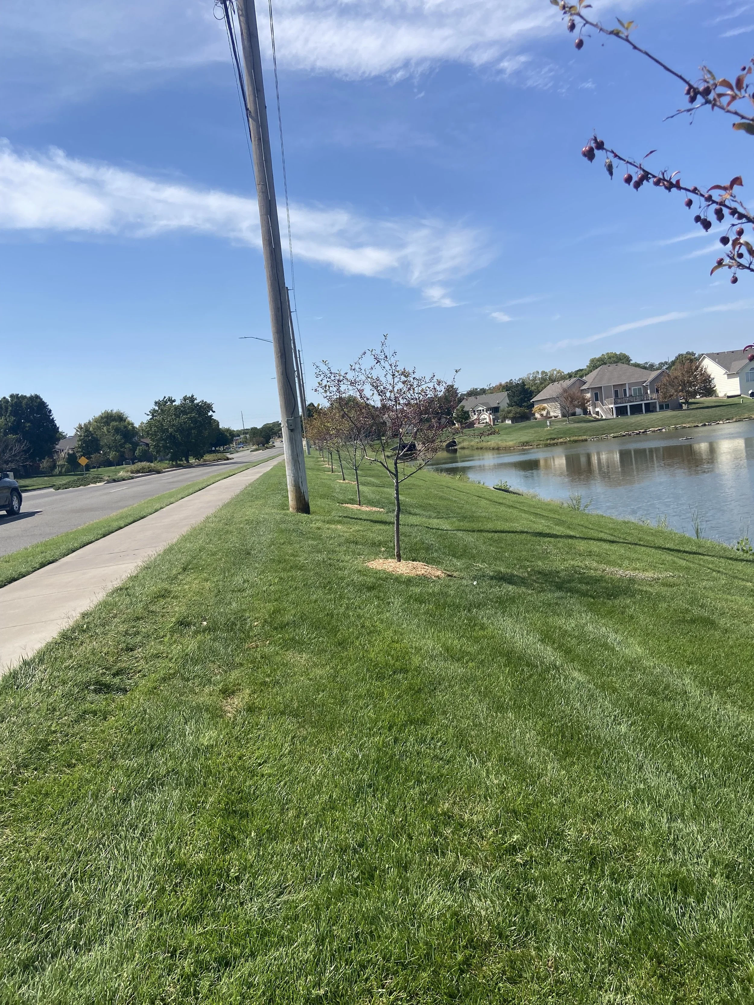 A grassy sidewalk beside a road and a small lake with residential houses on the opposite shore, under a blue sky with scattered clouds.