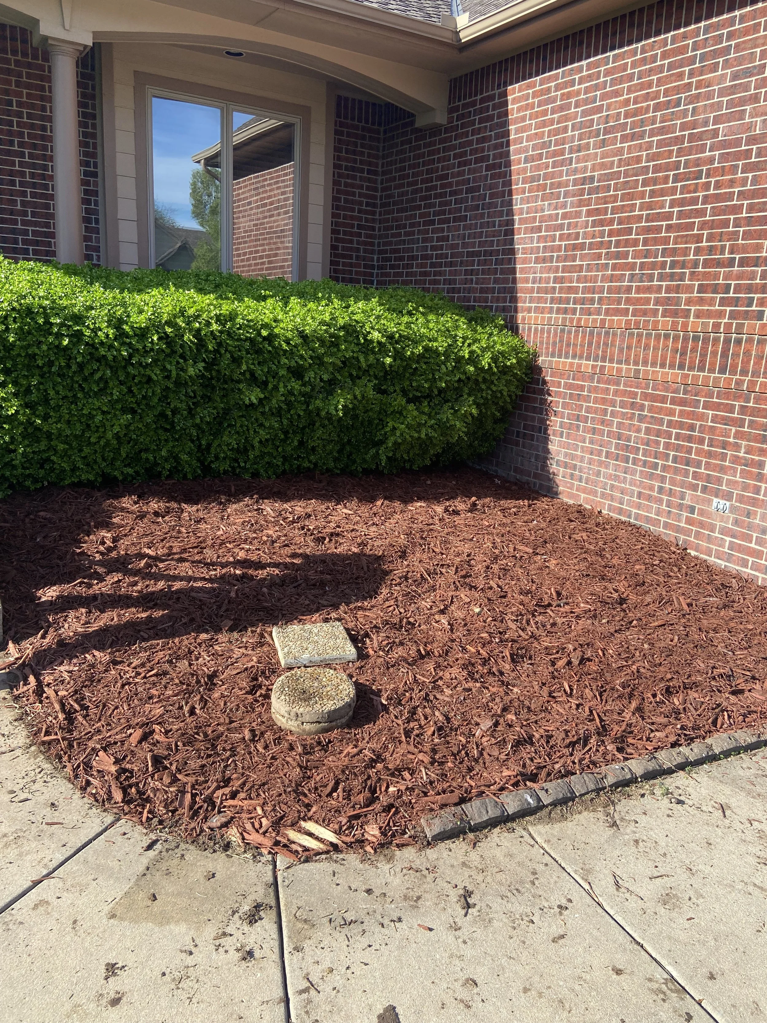 A small landscaped area in front of a brick house with a large green shrub, red mulch, two concrete stepping stones, and a concrete sidewalk.