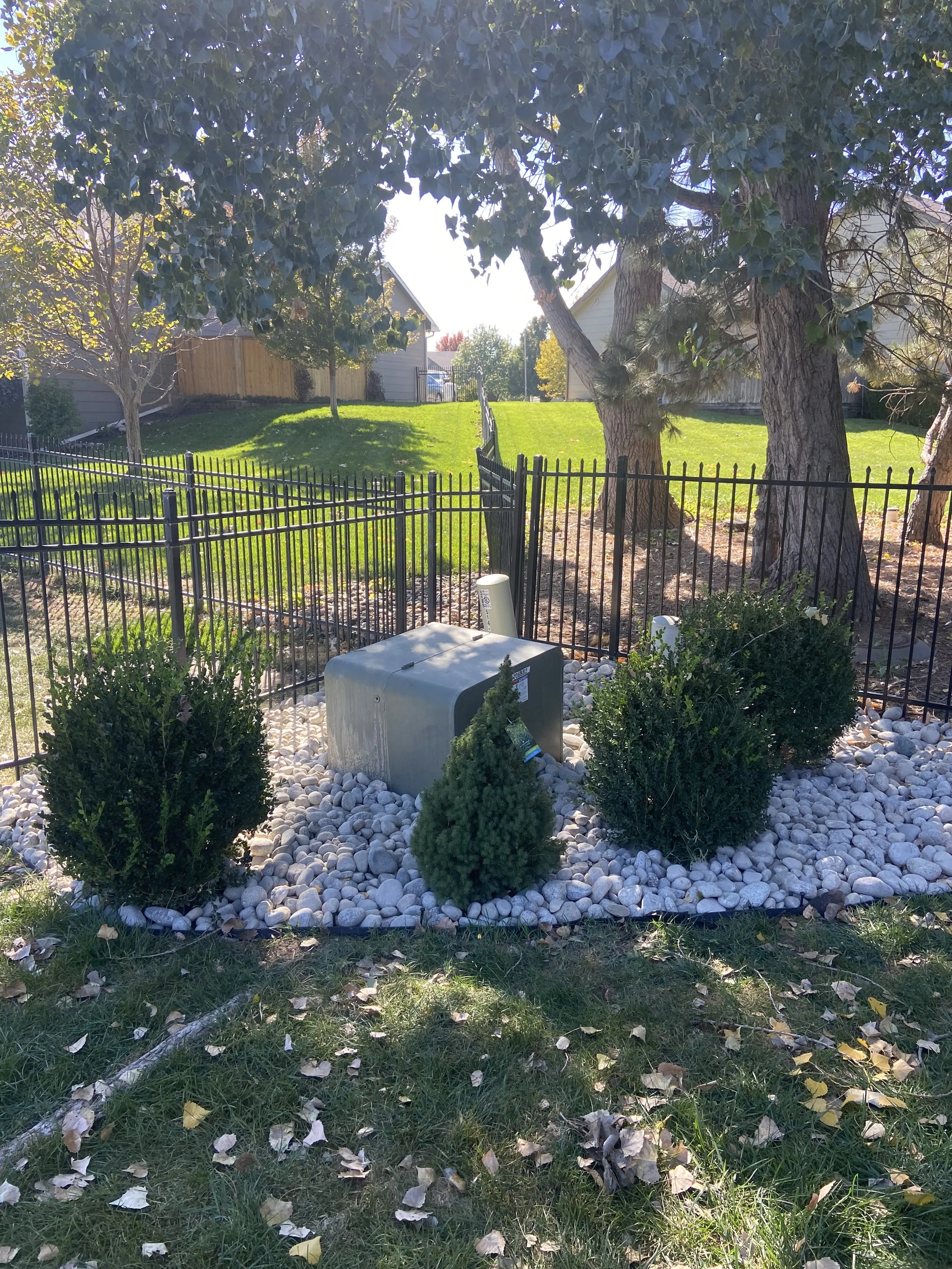 A landscaped yard with a black metal fence, two small bushes, and a utility box. There are trees with thick trunks and a grassy hill in the background, with fallen leaves on the ground.