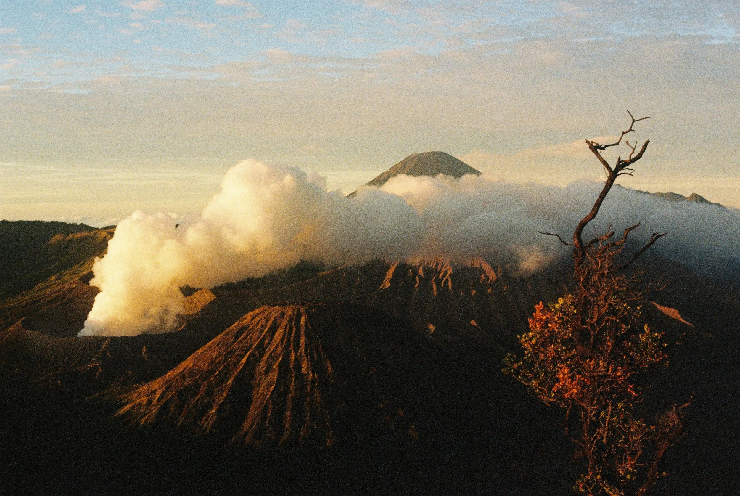 R1-02882-002A.JPG