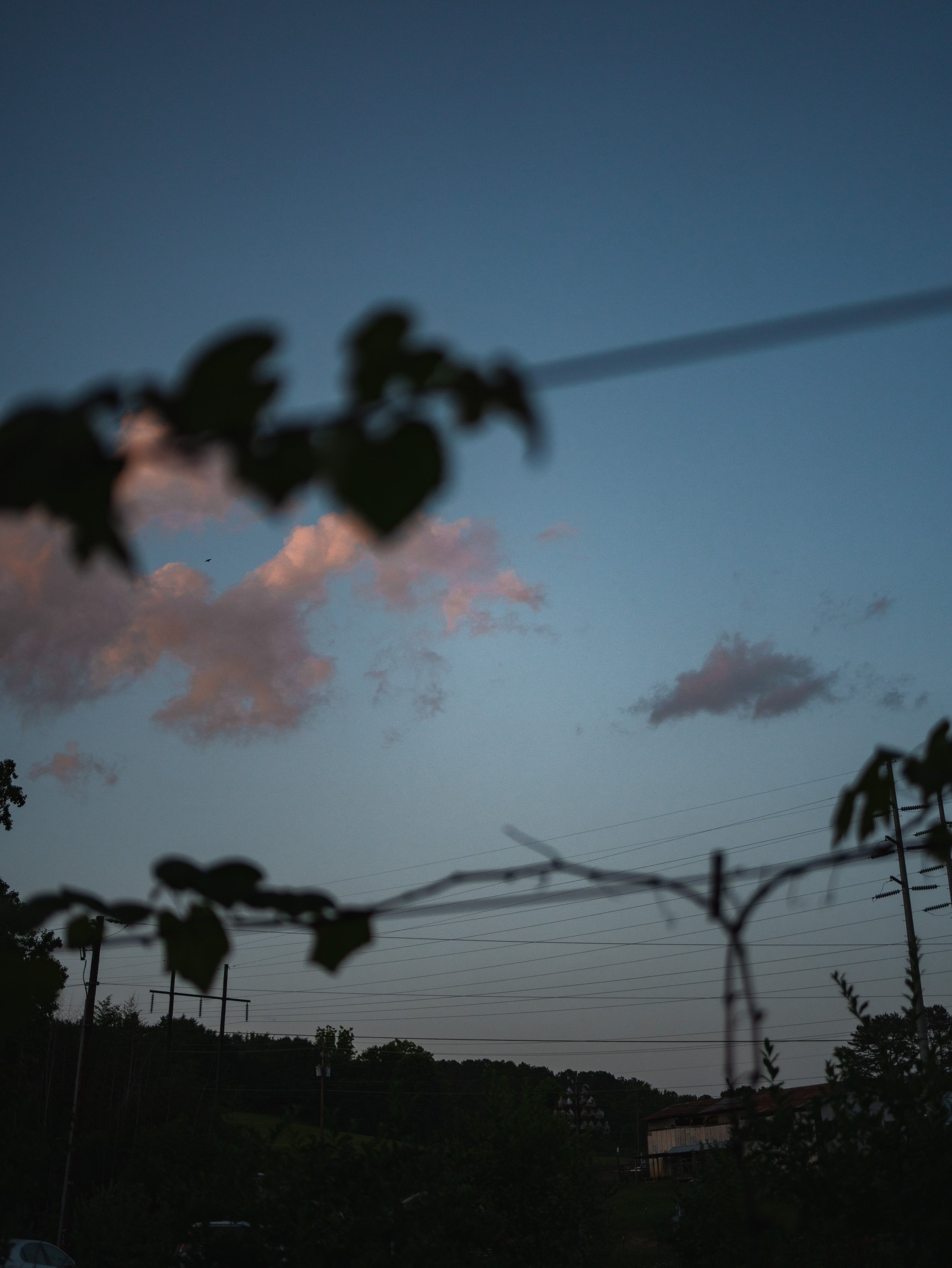 DSC02081.jpg