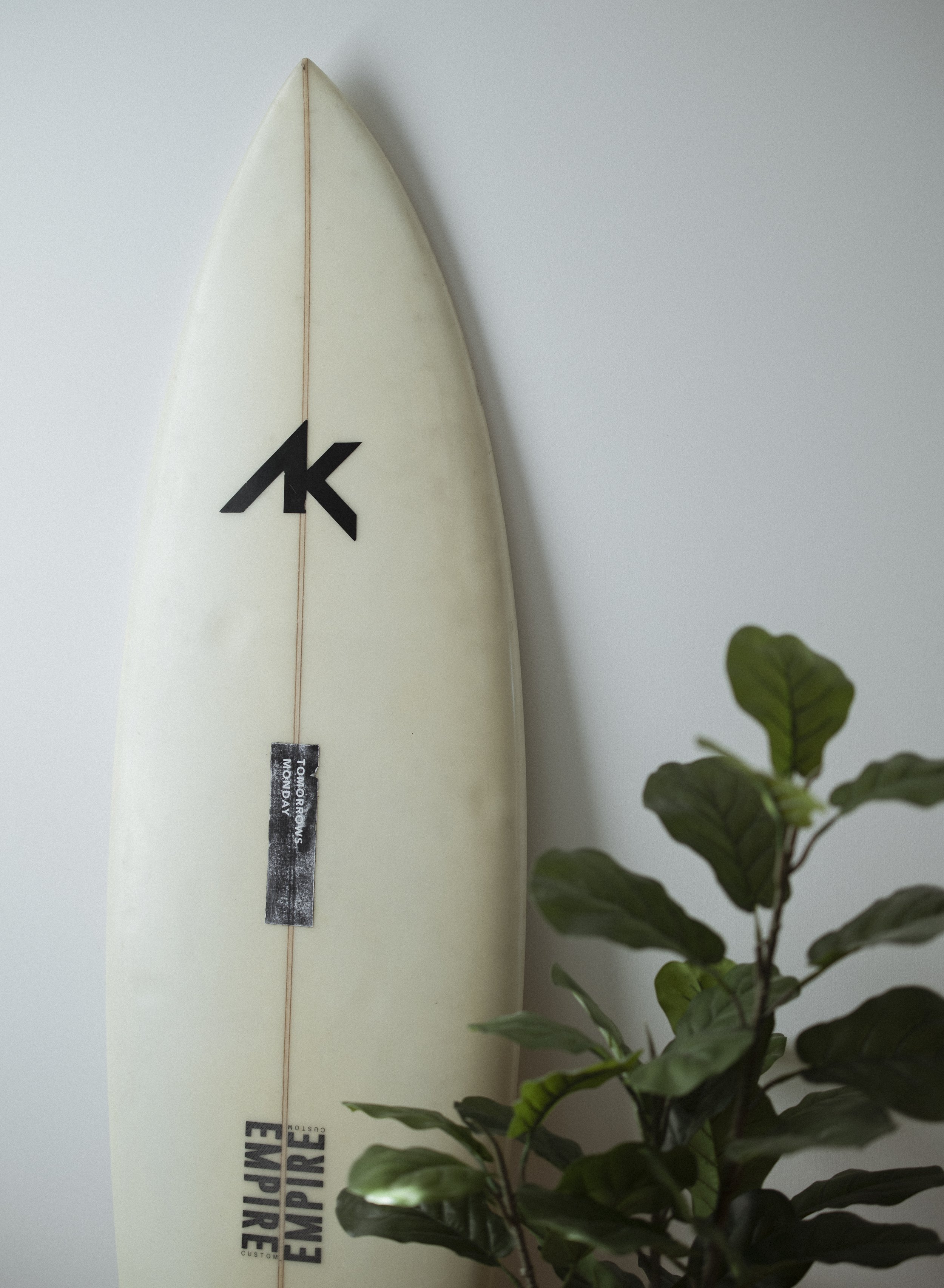 A surfboard leaning against a white wall with a black and white tag attached to it, next to a leafy green plant.