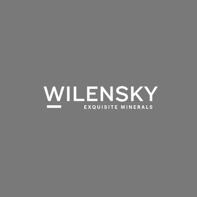 Wilensky Gallery