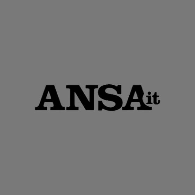 Ansa Article