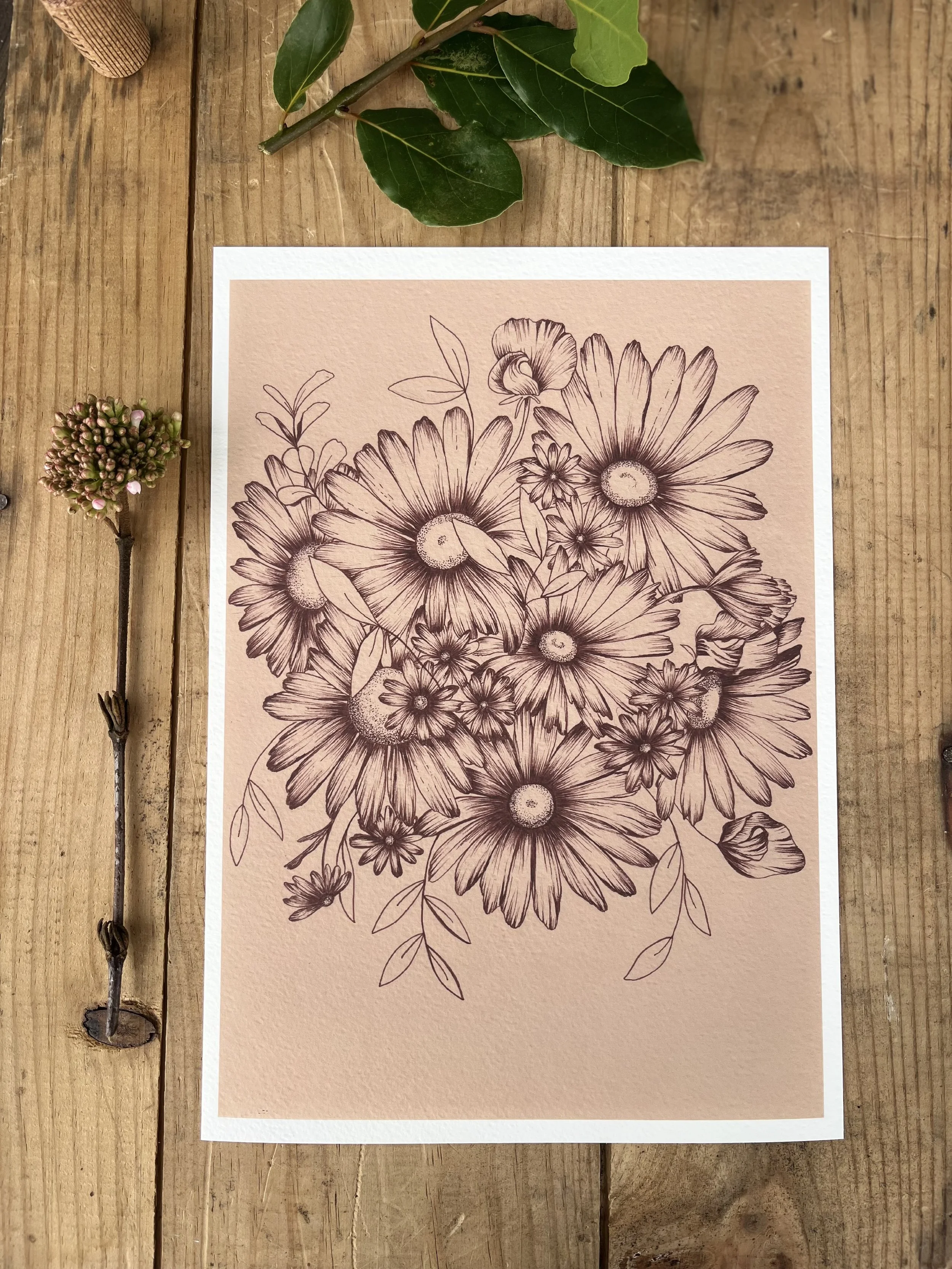Daisy art print: pen and ink floral illustration. Neutral wall art.
