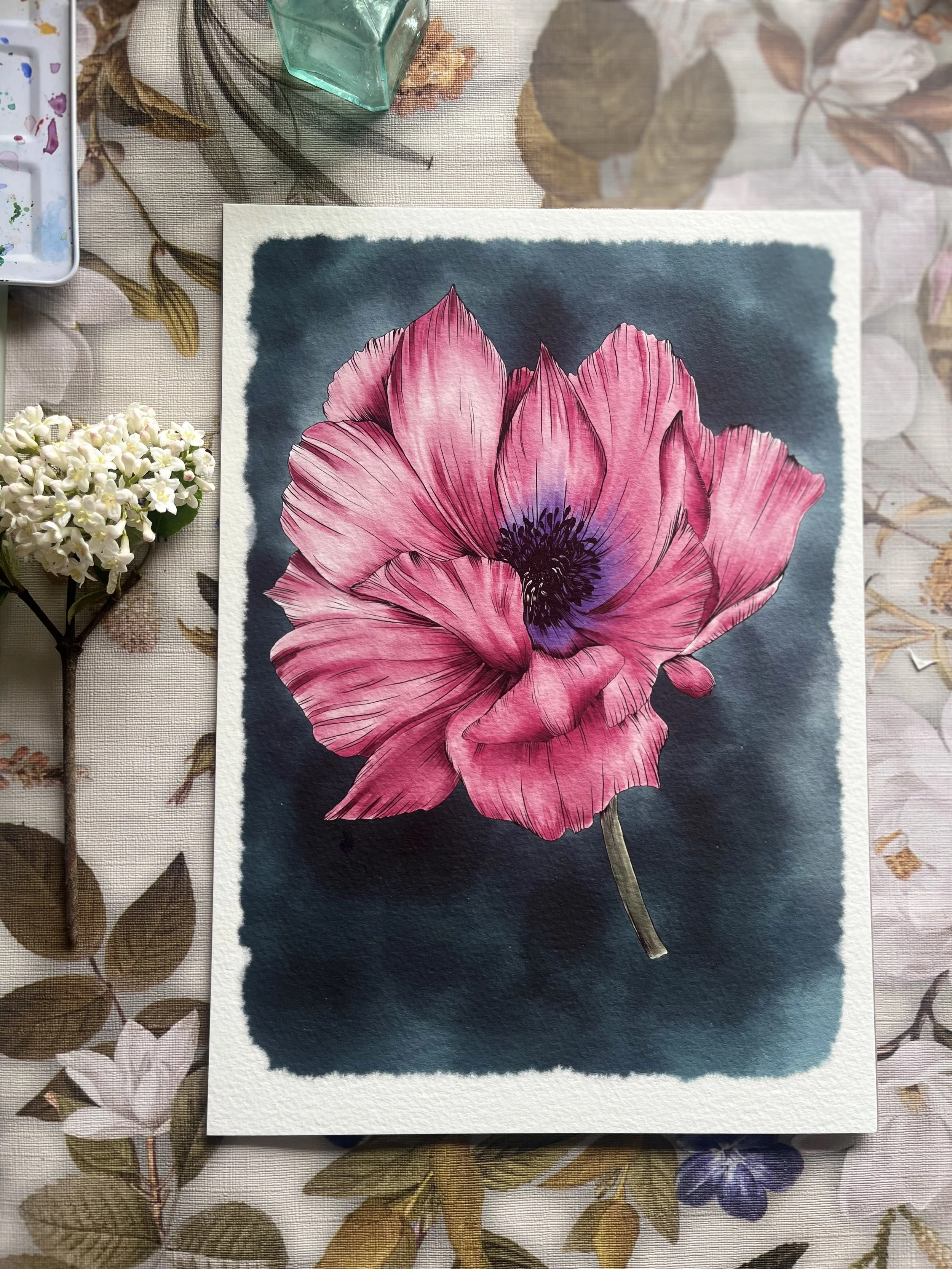 Pink Oriental Poppy fine art print. - Pink and turquoise botanical art.