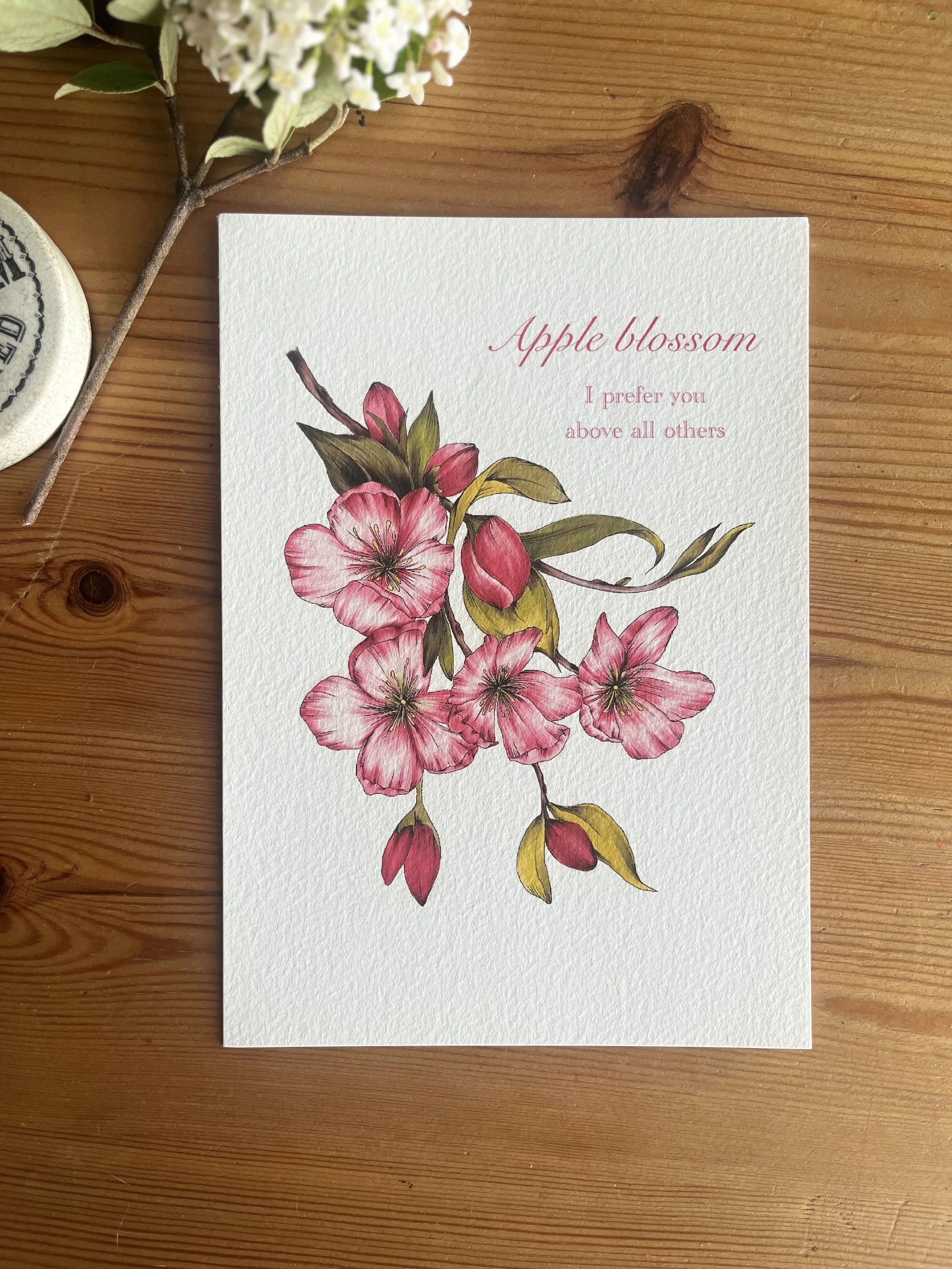 Apple blossom art print explores- pink blossom wall art.
