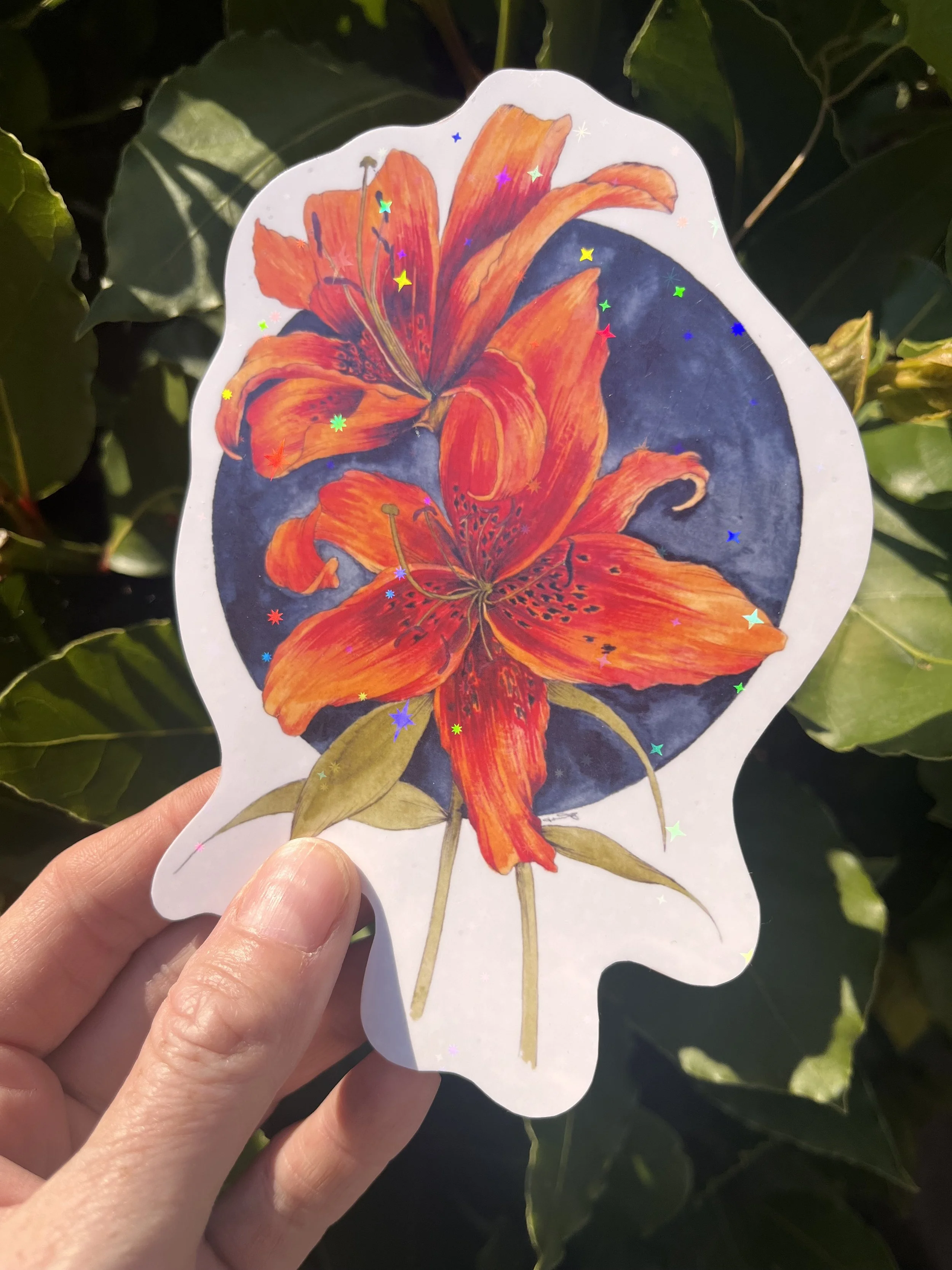 Orange stargazer lily sticker taken- vinyl sticker photographed in front of bay foliage in the sunshine. The holographic overlay shimmers in the sunshine.
