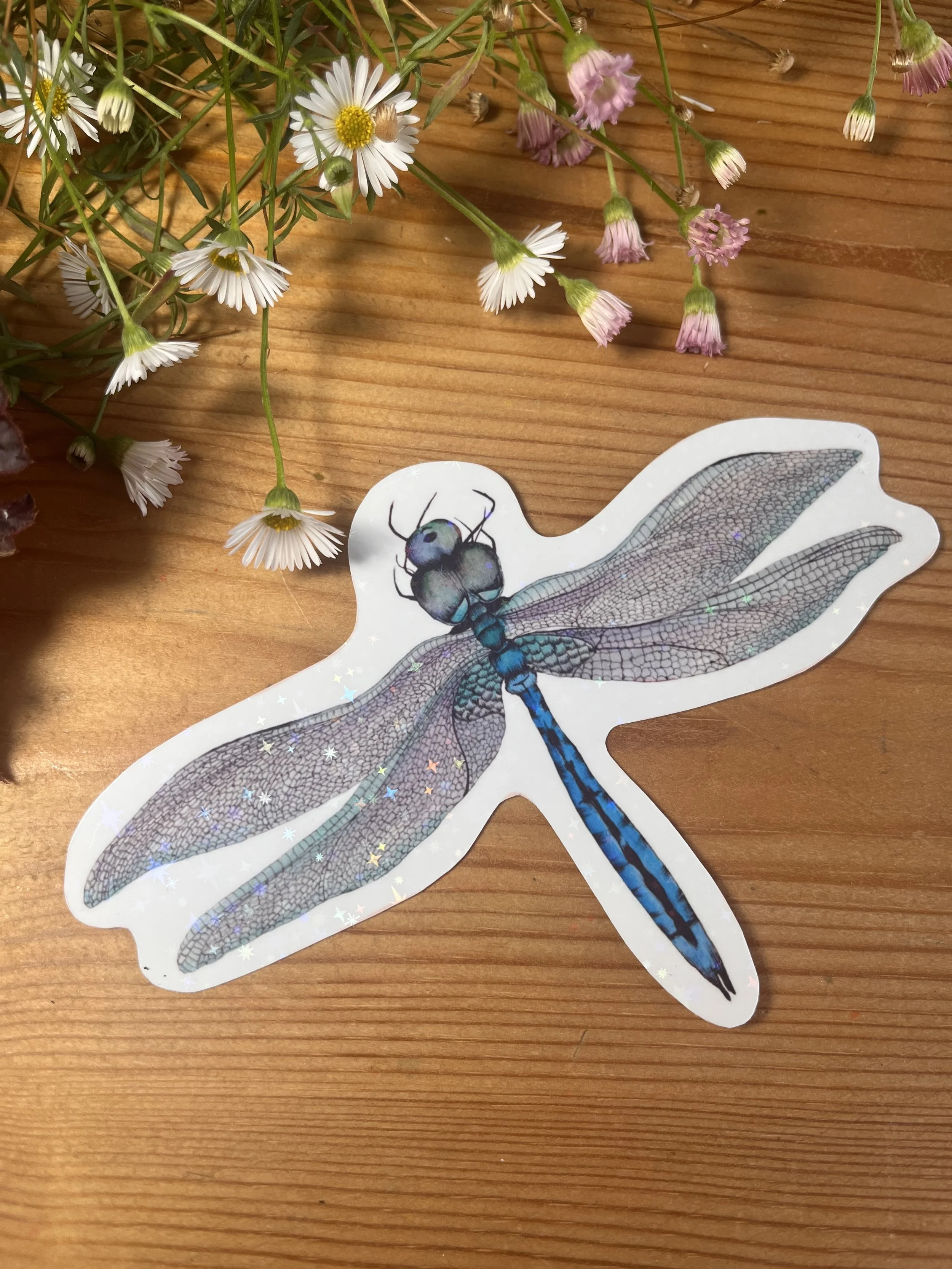 Holographic sticker dragonfly