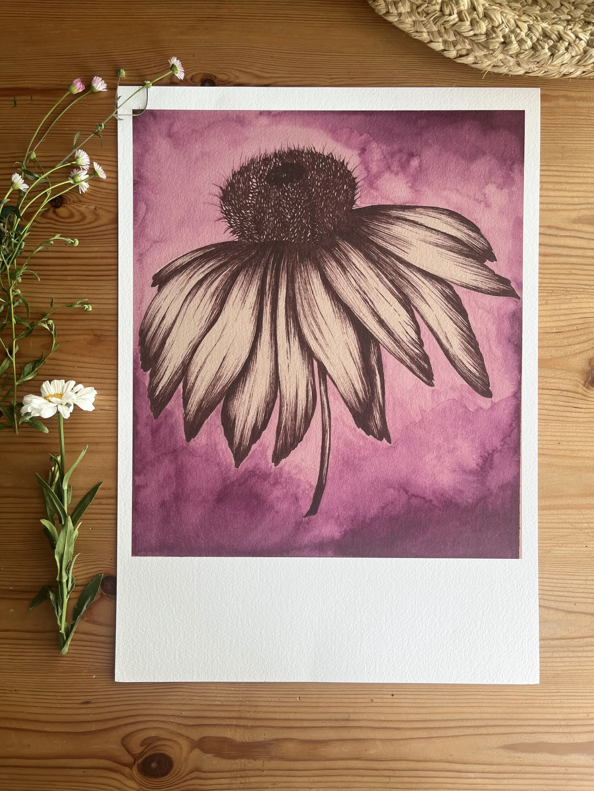 Purple echinacea fine art print - beautiful bedroom print