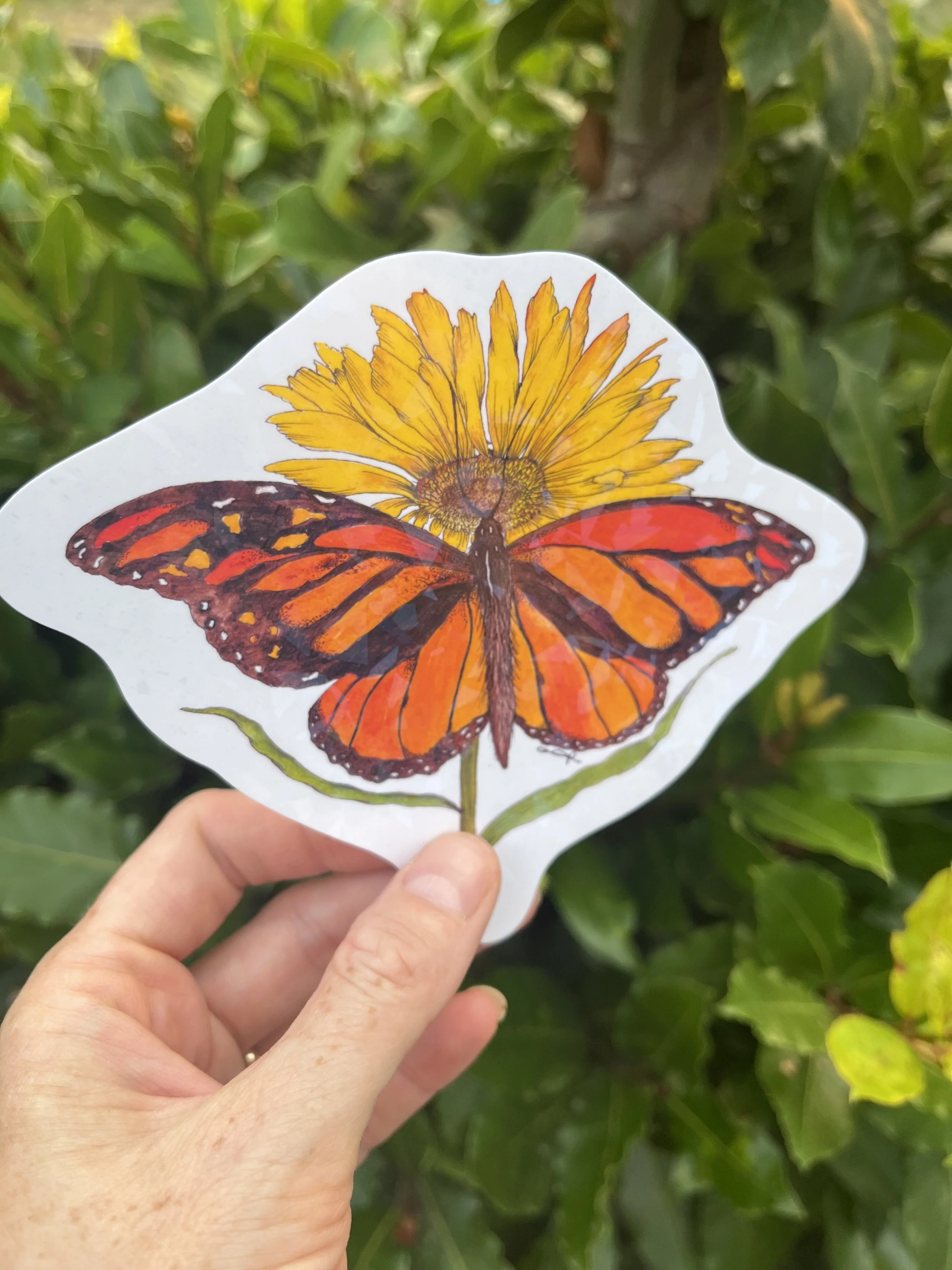 Monarch butterfly watercolour vinyl sticker