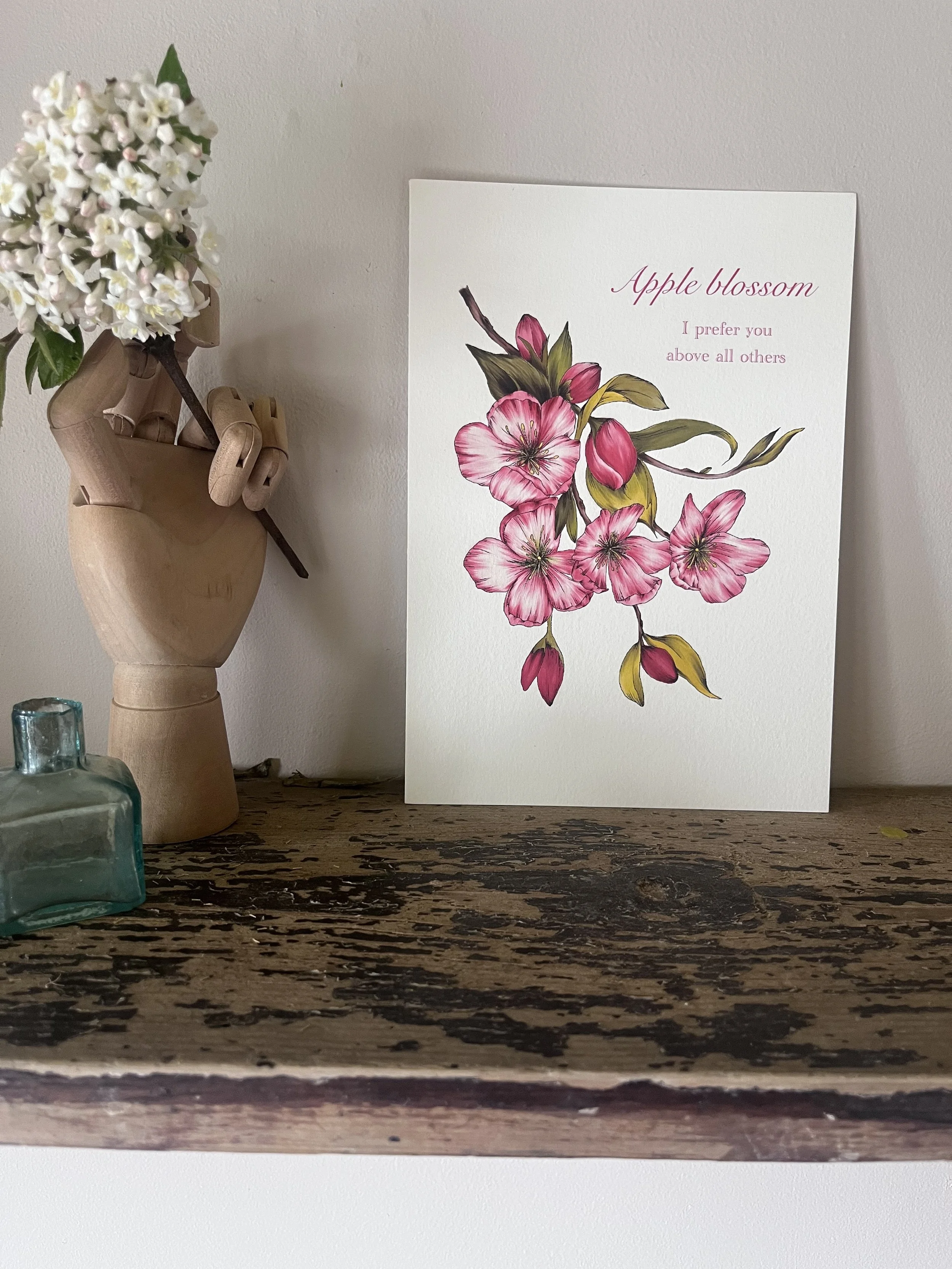 IMG_3416.jpeg
