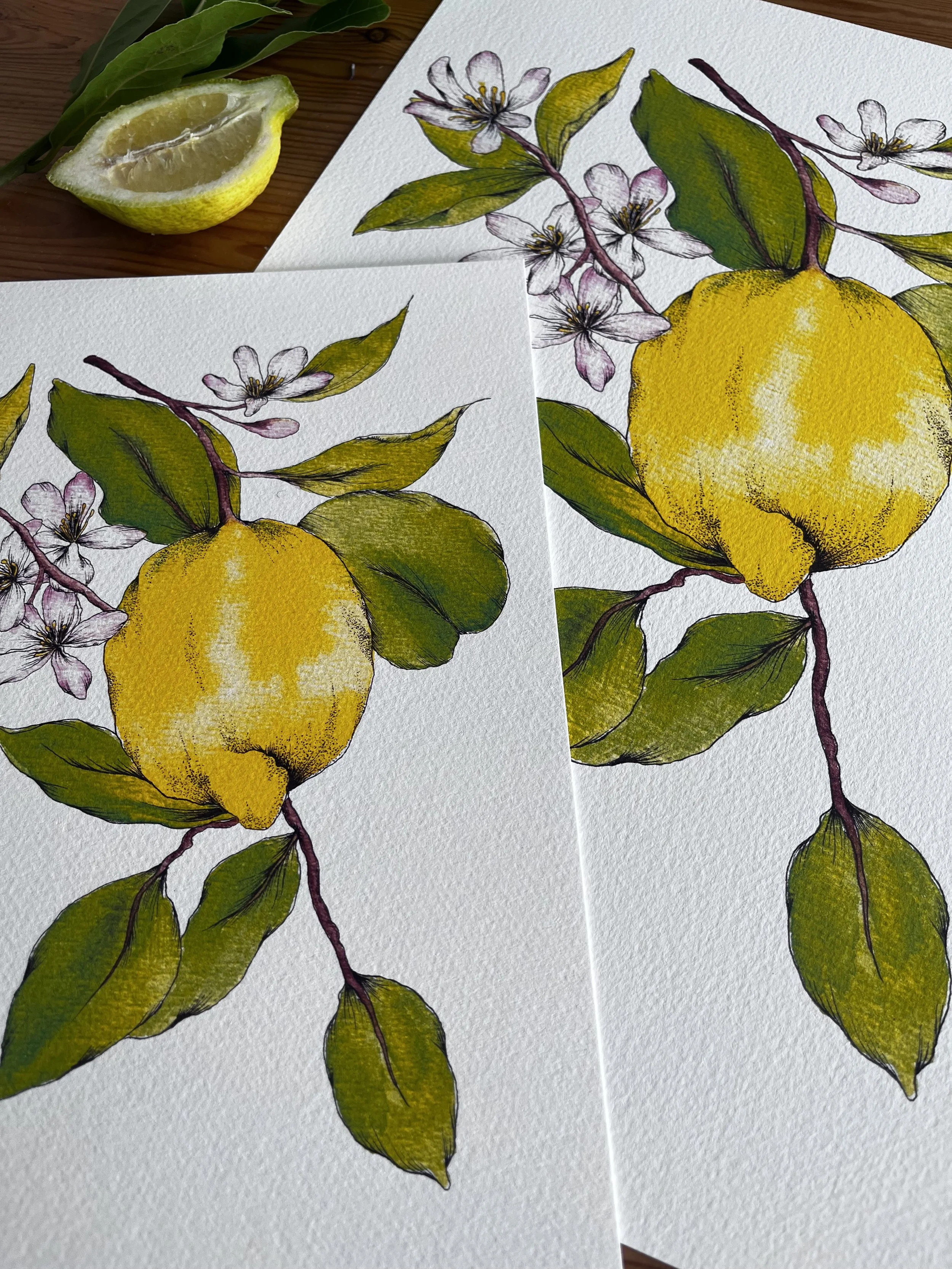 Spanish lemon fine art print