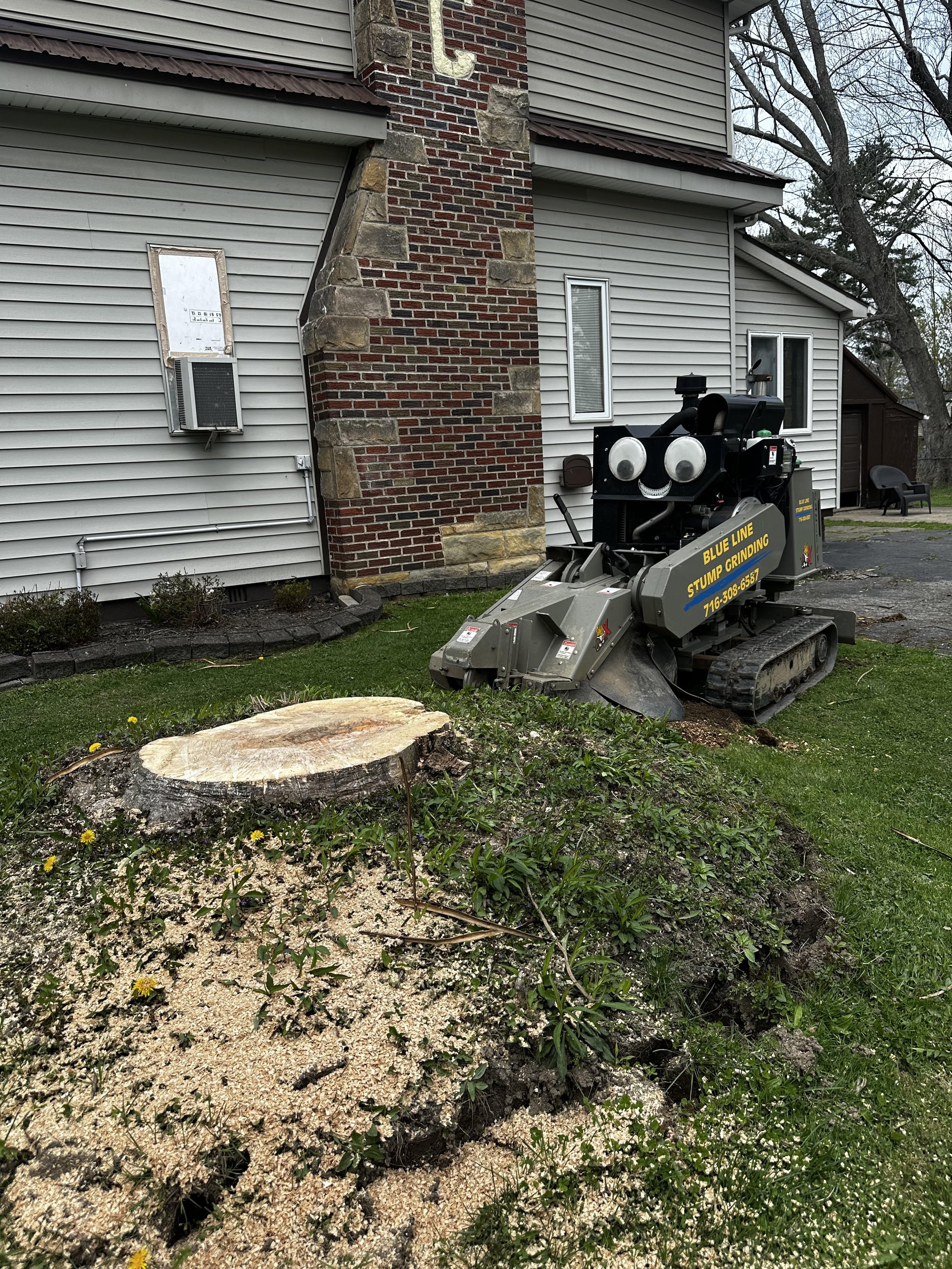 Erie County Stump Removal