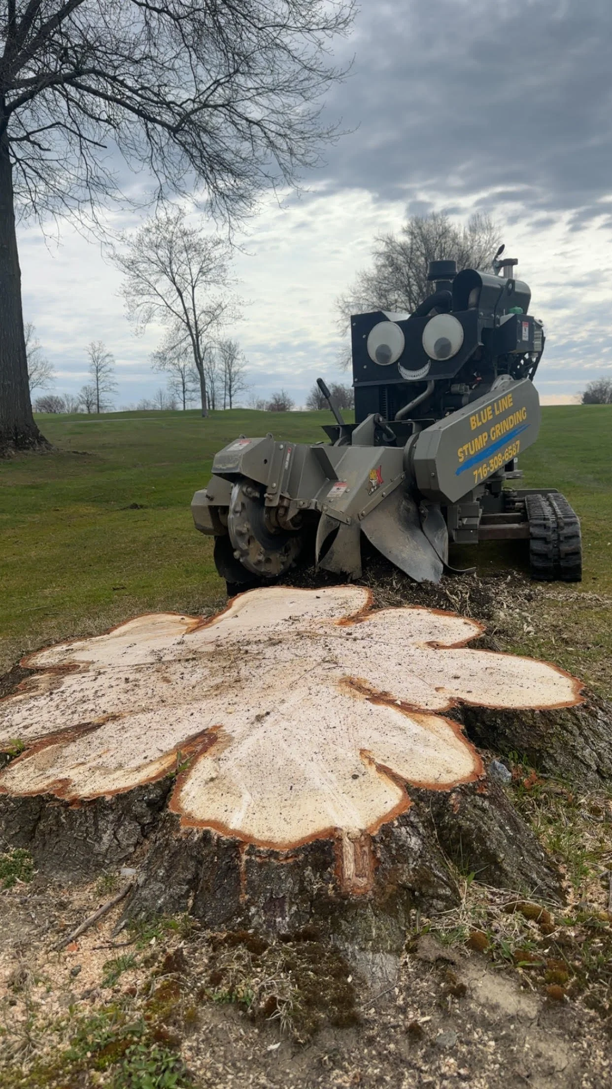 Stump grinding service in Western New York