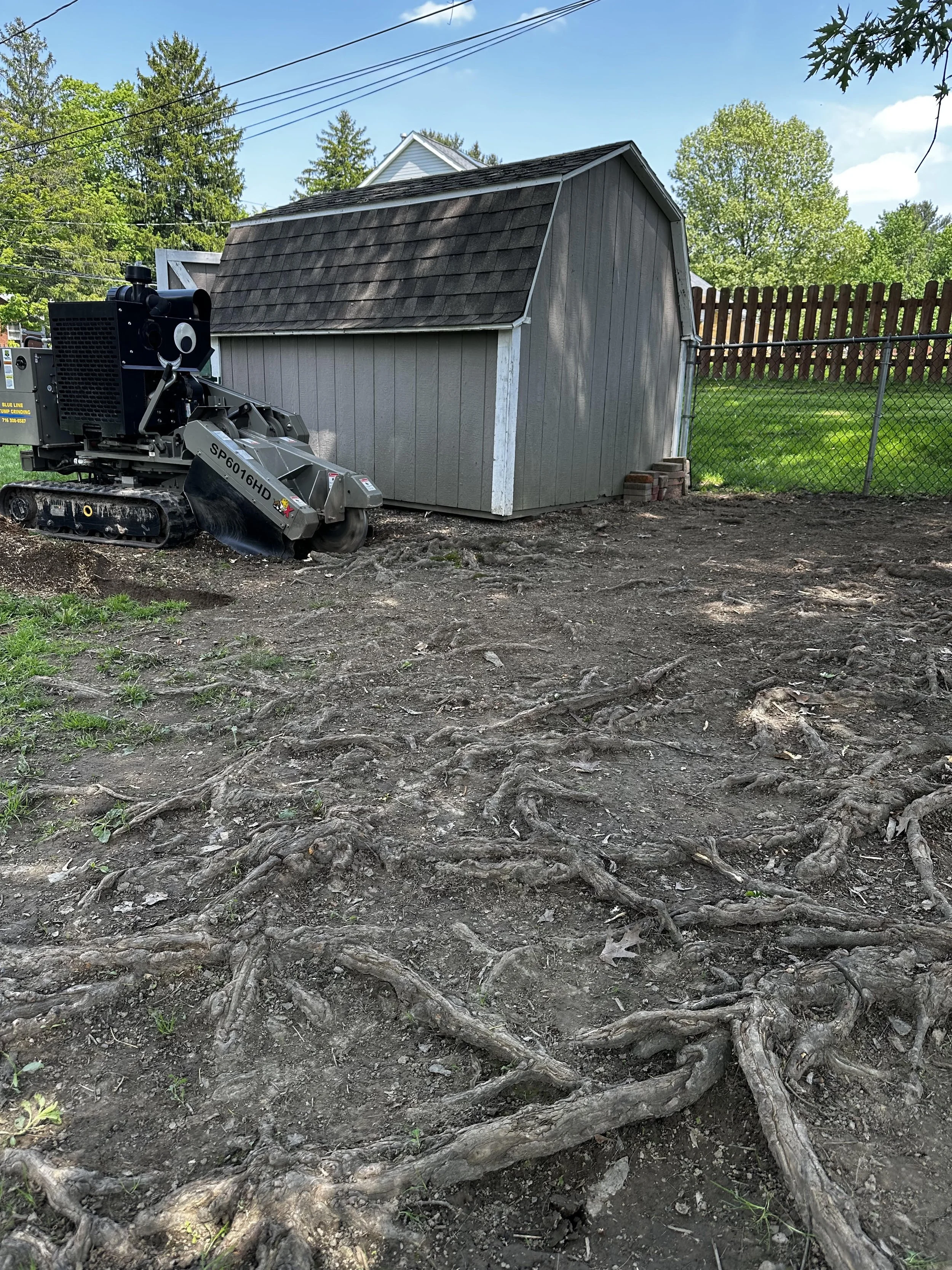 Root Clearing services in Western New york and Erie County
