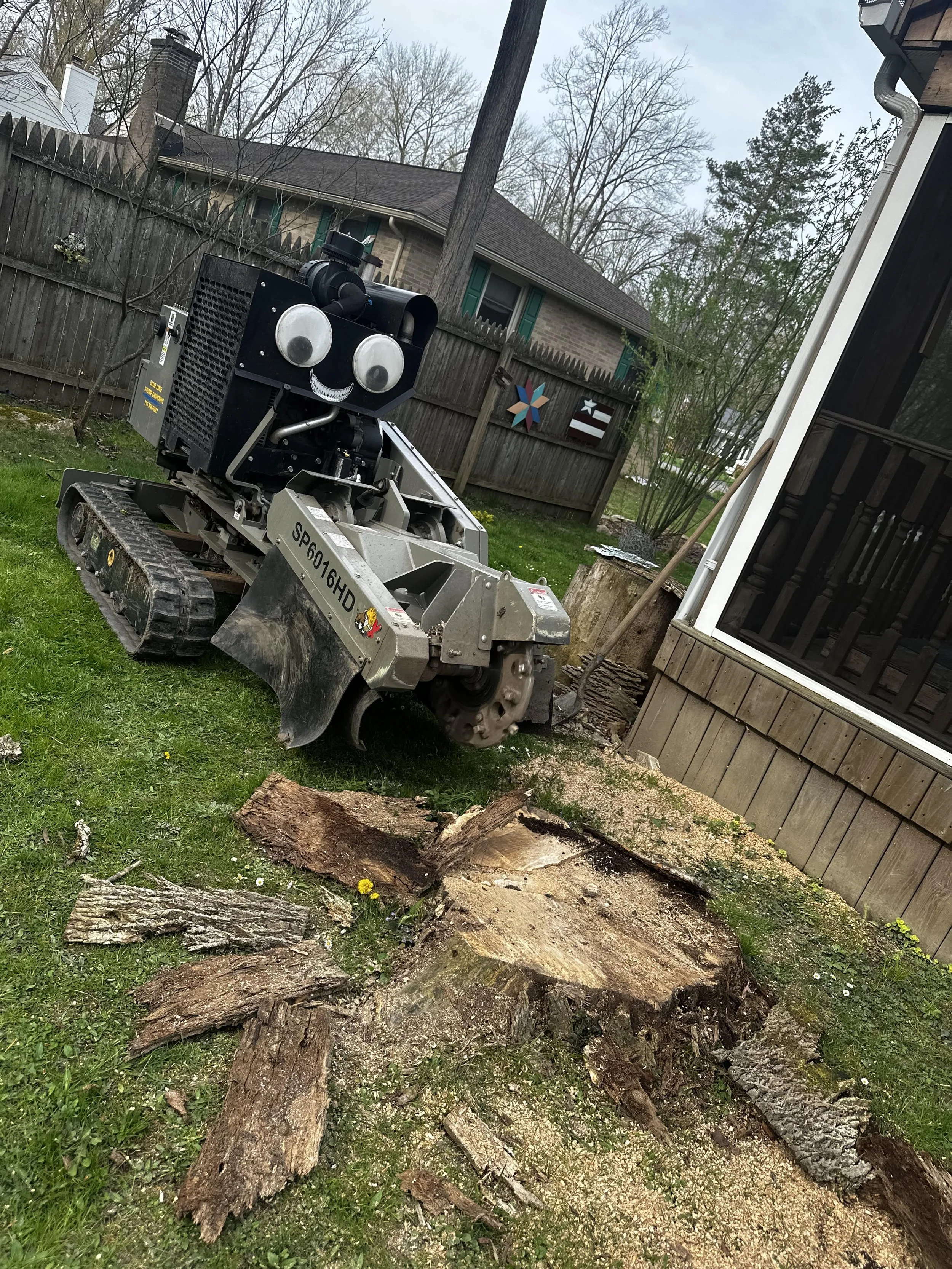 Tree stump removal in Western NY backyard